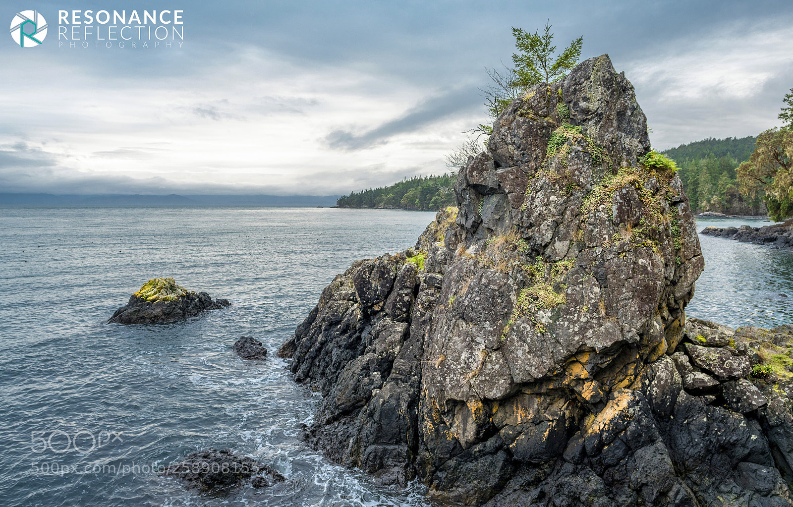Nikon D750 sample photo. Coastal works of art photography