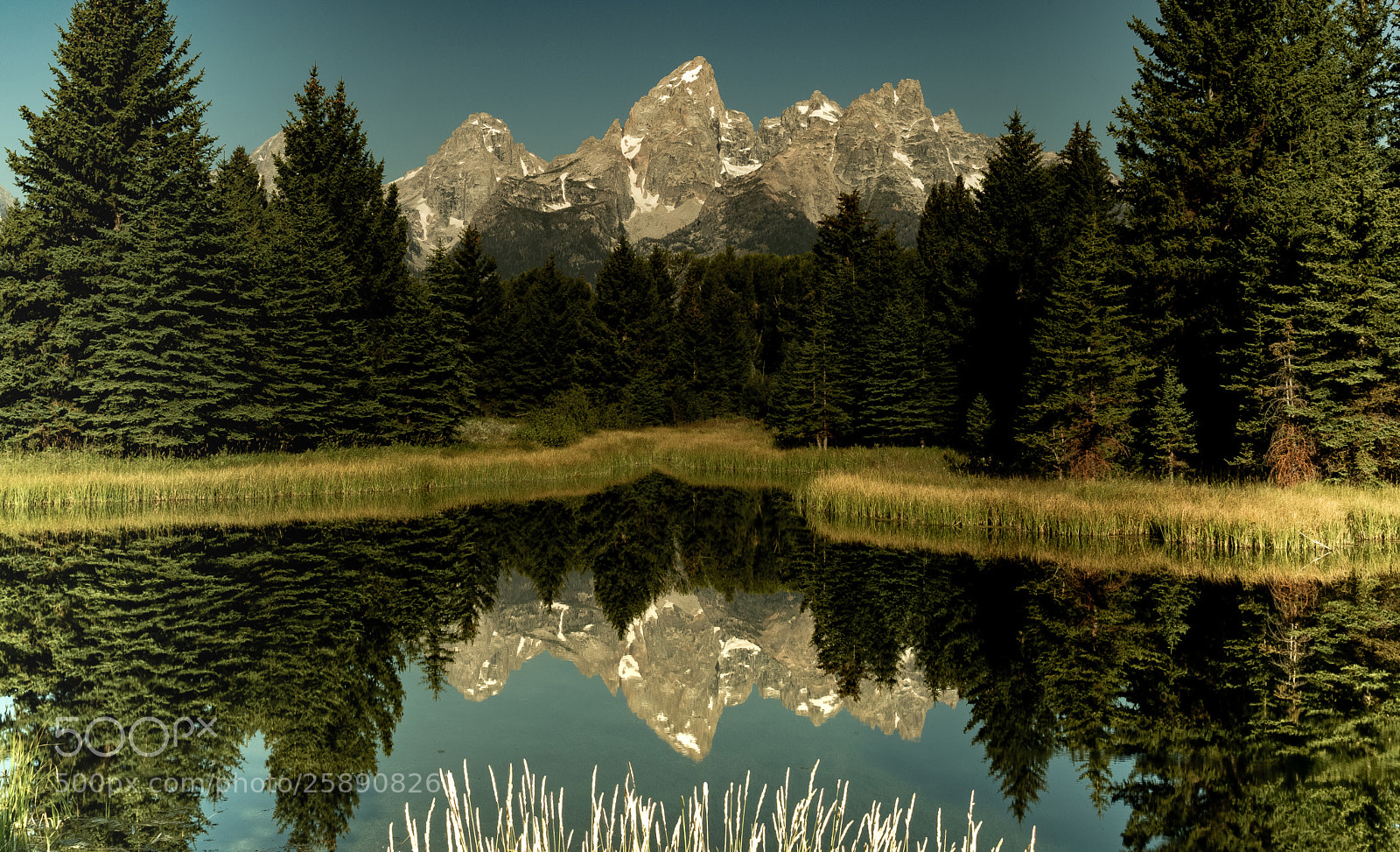 Canon EOS 6D sample photo. Schwabacher photography