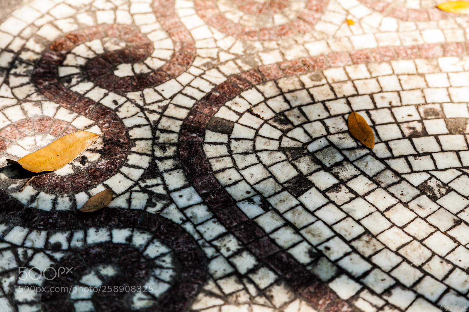 Canon EOS 5D Mark II sample photo. Mosaic photography