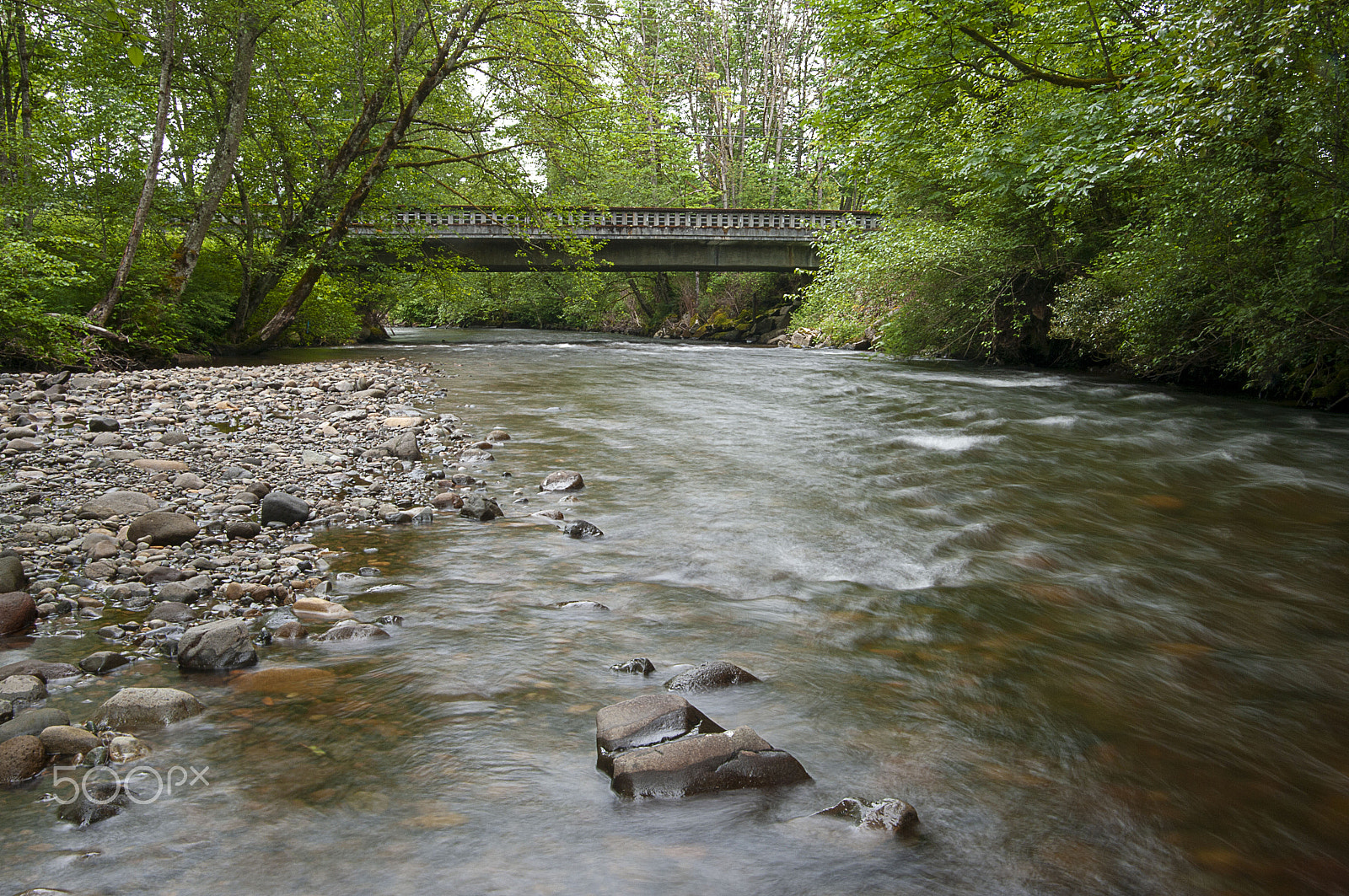 Pentax K20D sample photo. Spring green and river photography