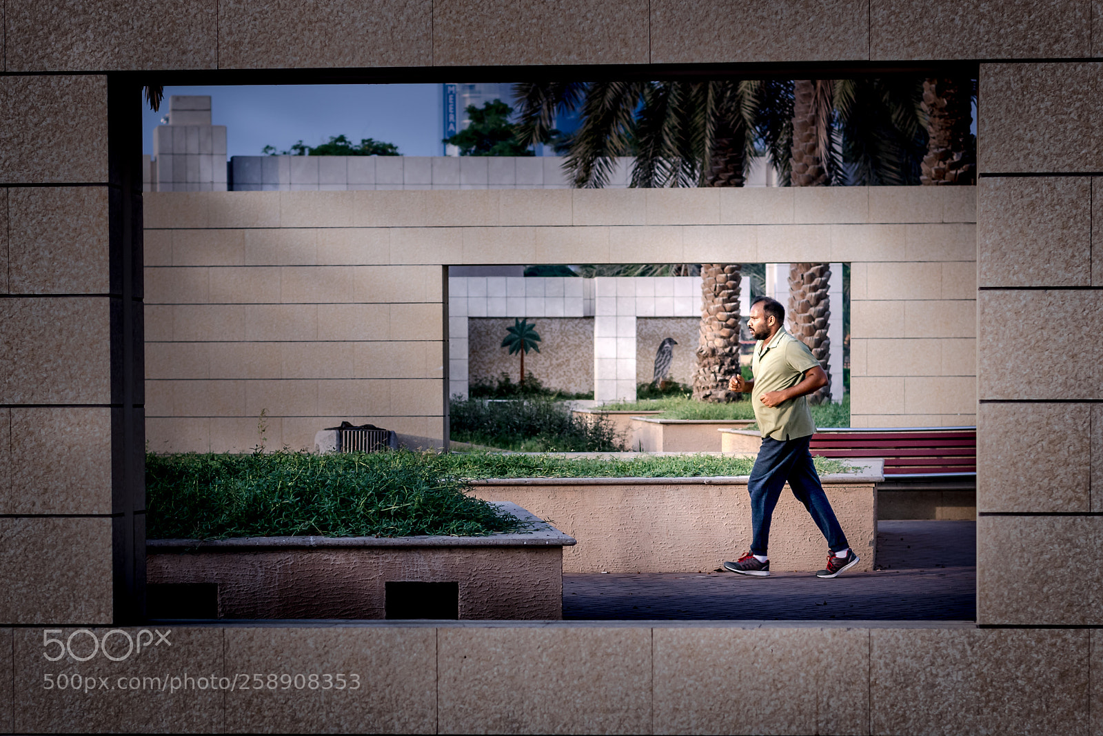 Nikon D3300 sample photo. Perfectly framed photography