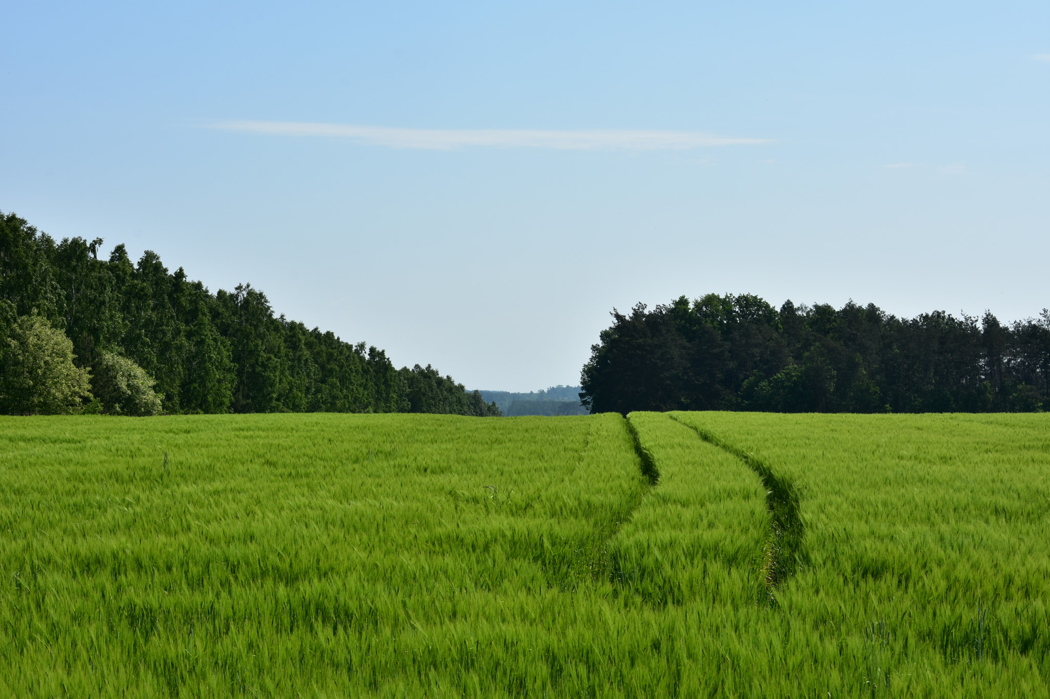 Nikon D7200 sample photo. Reflective landscape photography