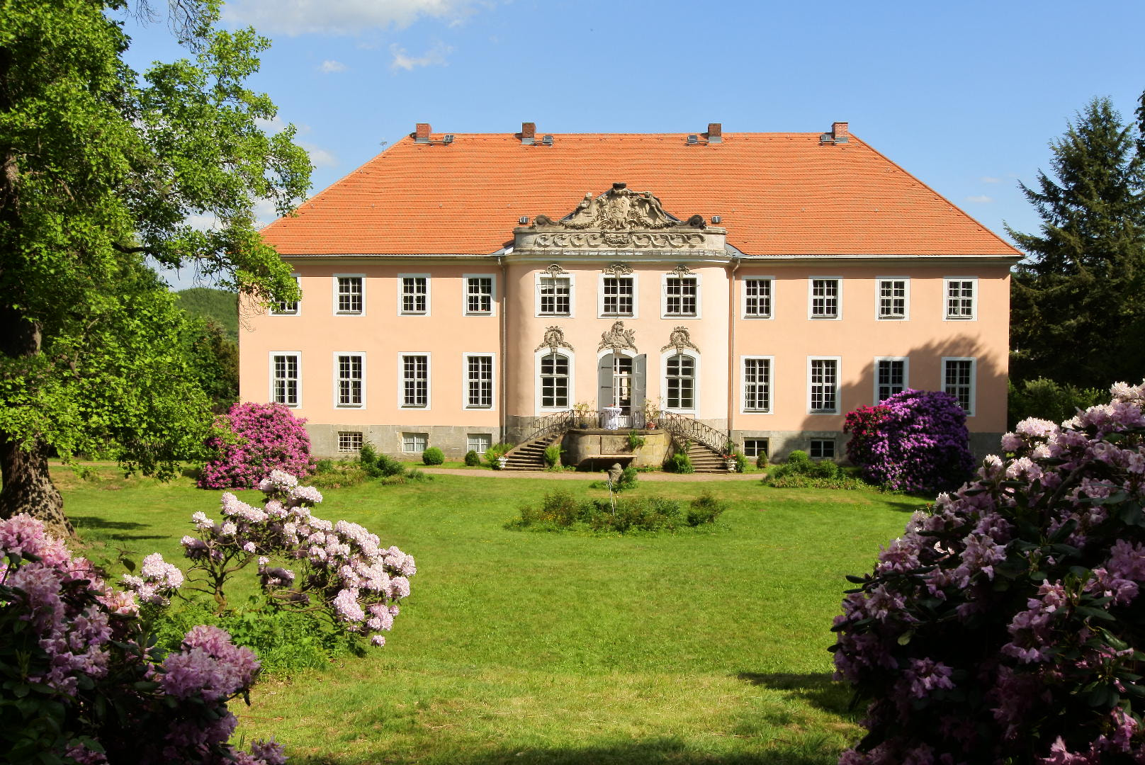 Nikon 1 J5 sample photo. Schloss reichstädt (sachsen) photography