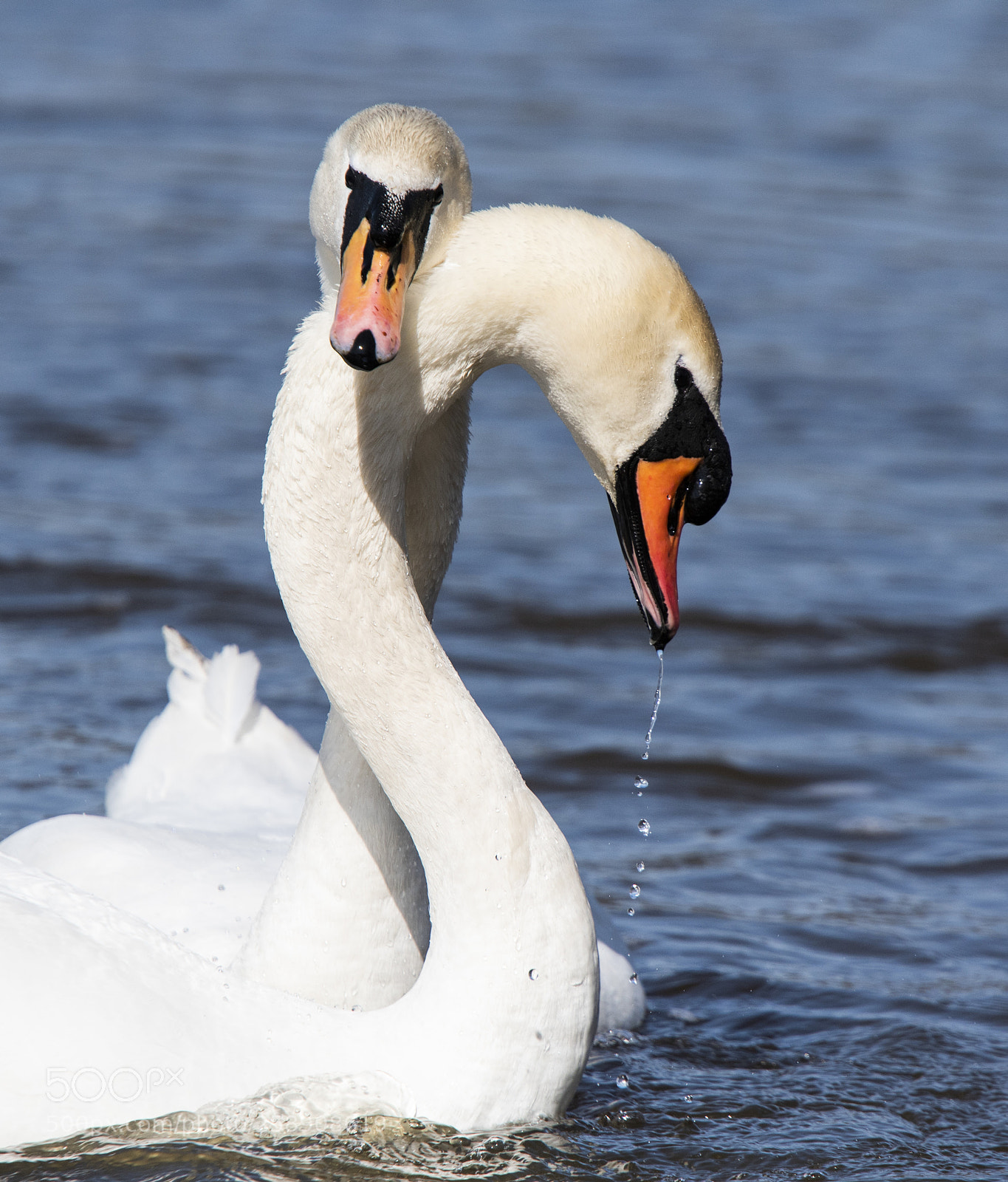 Nikon D750 sample photo. 3713.jpg photography