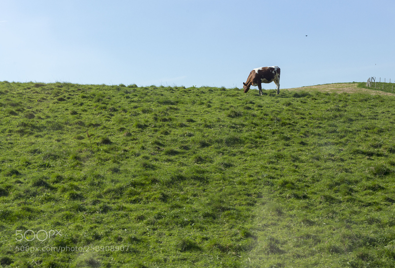 Canon EOS 6D sample photo. Alone photography