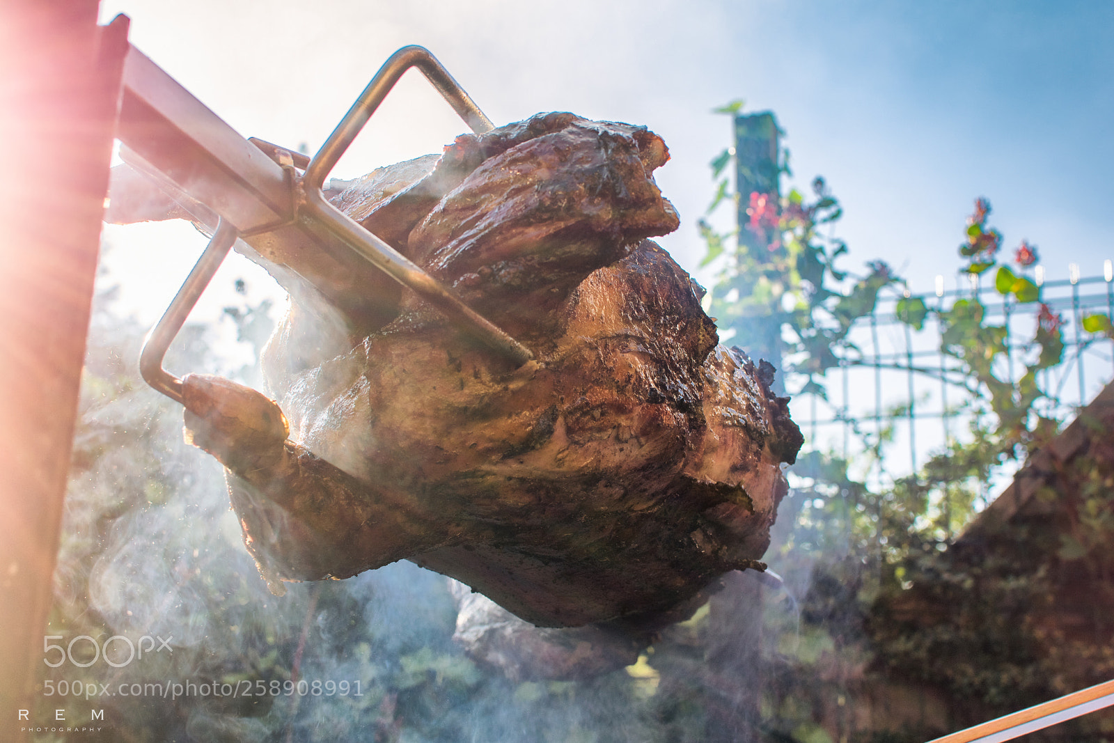 Nikon D5300 sample photo. Hungry? photography