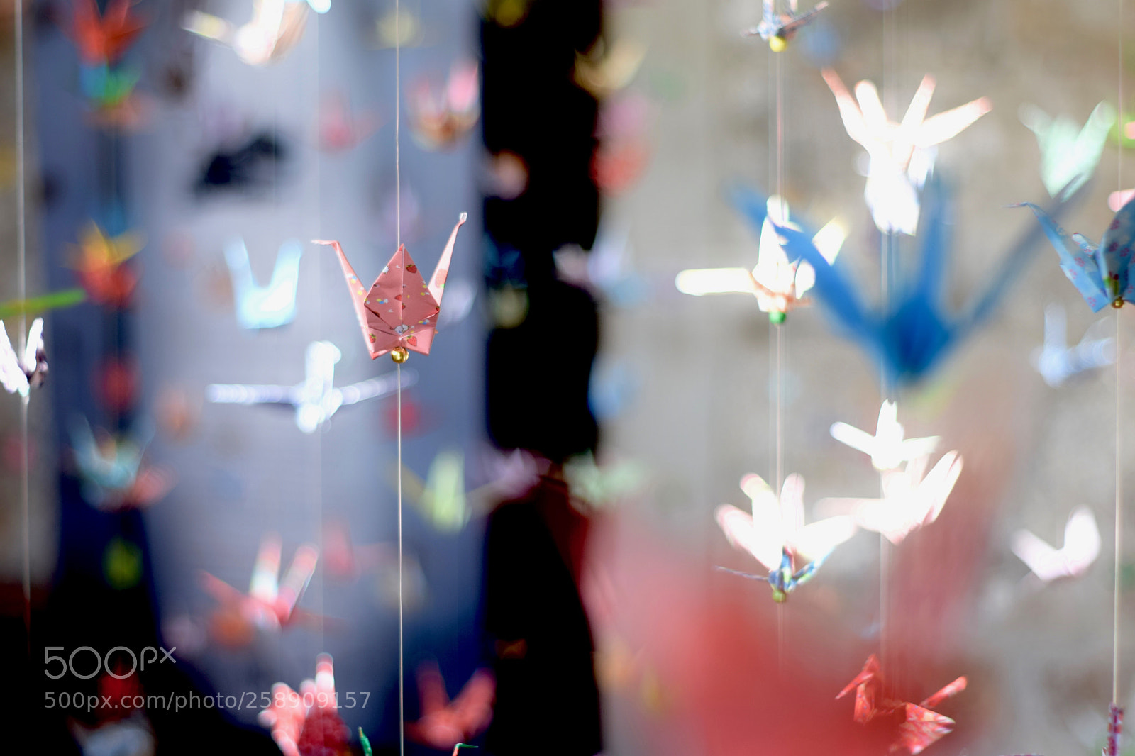 Nikon D3300 sample photo. Paper birds photography