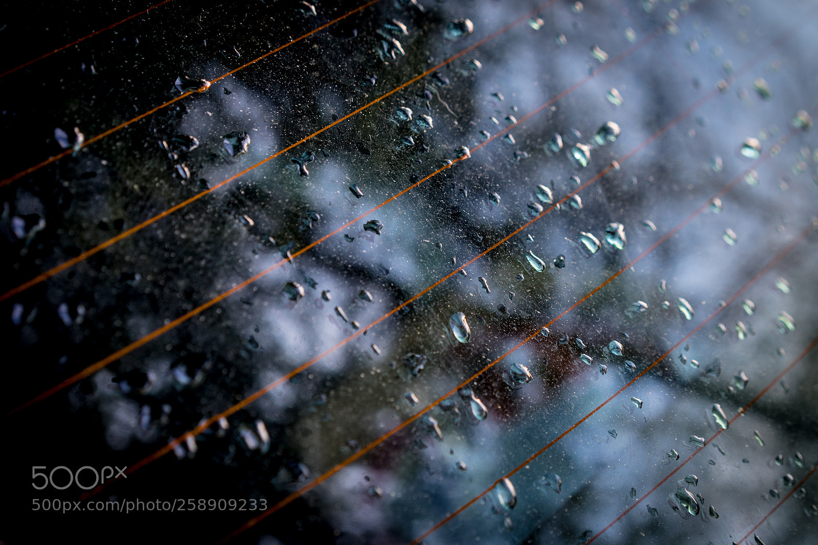 Sony a7 II sample photo. Drops photography
