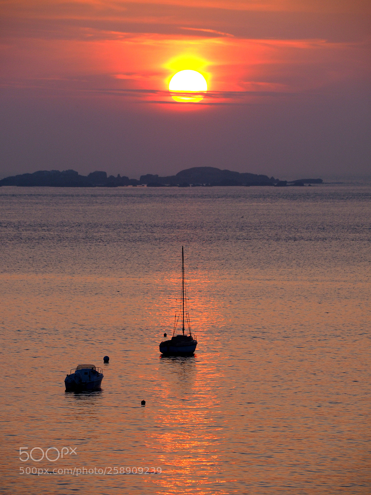 Olympus OM-D E-M1 sample photo. Soleil jaune photography