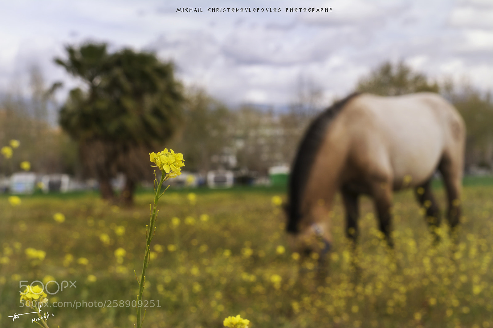 Nikon D7100 sample photo. Torre del mar photography