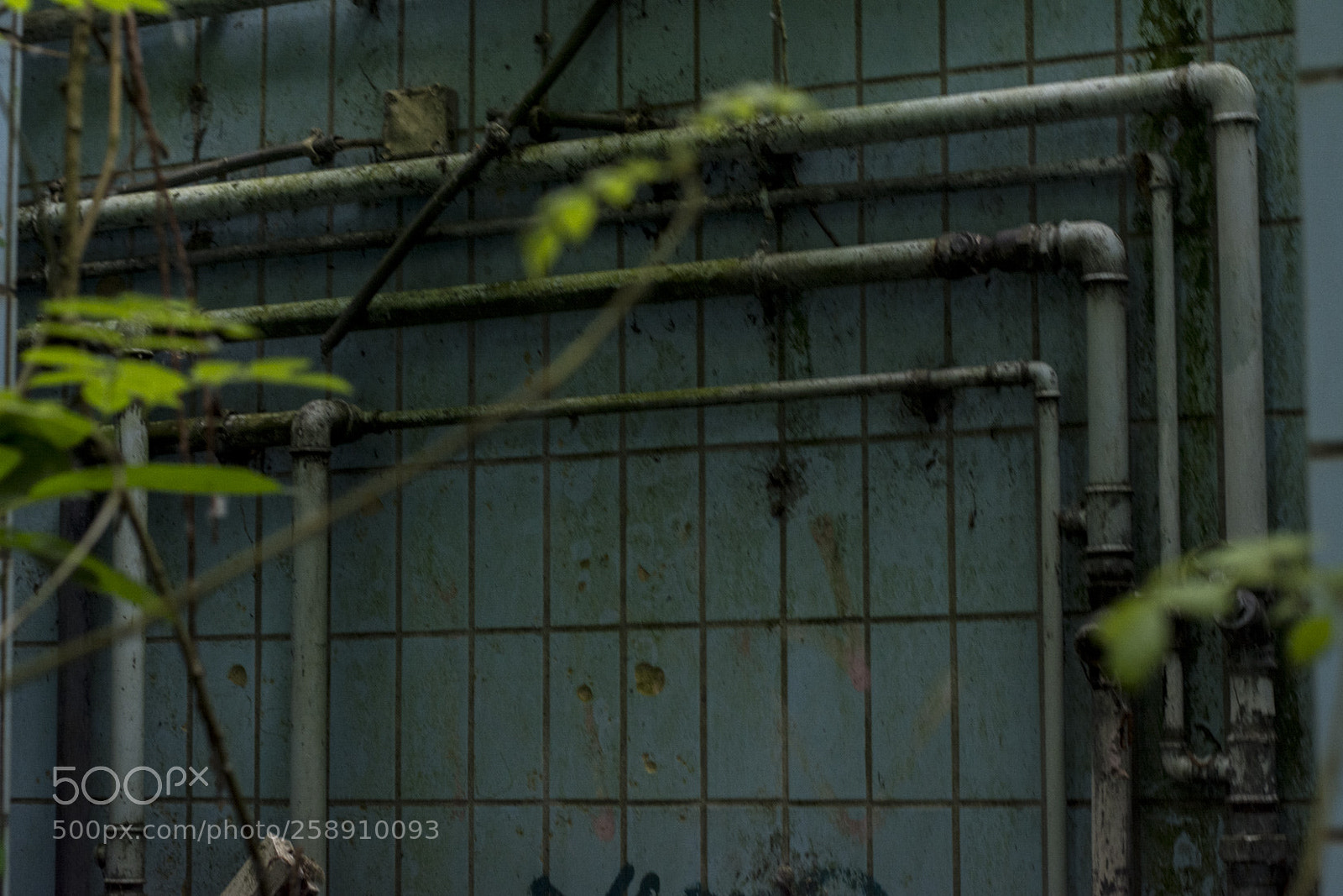 Nikon D5200 sample photo. Dans la villespringnivelles photography