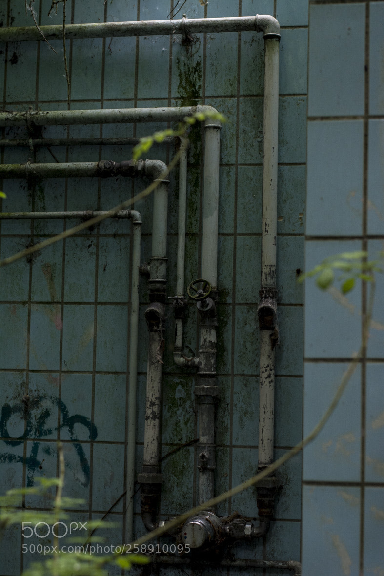 Nikon D5200 sample photo. Dans la villespringnivelles photography