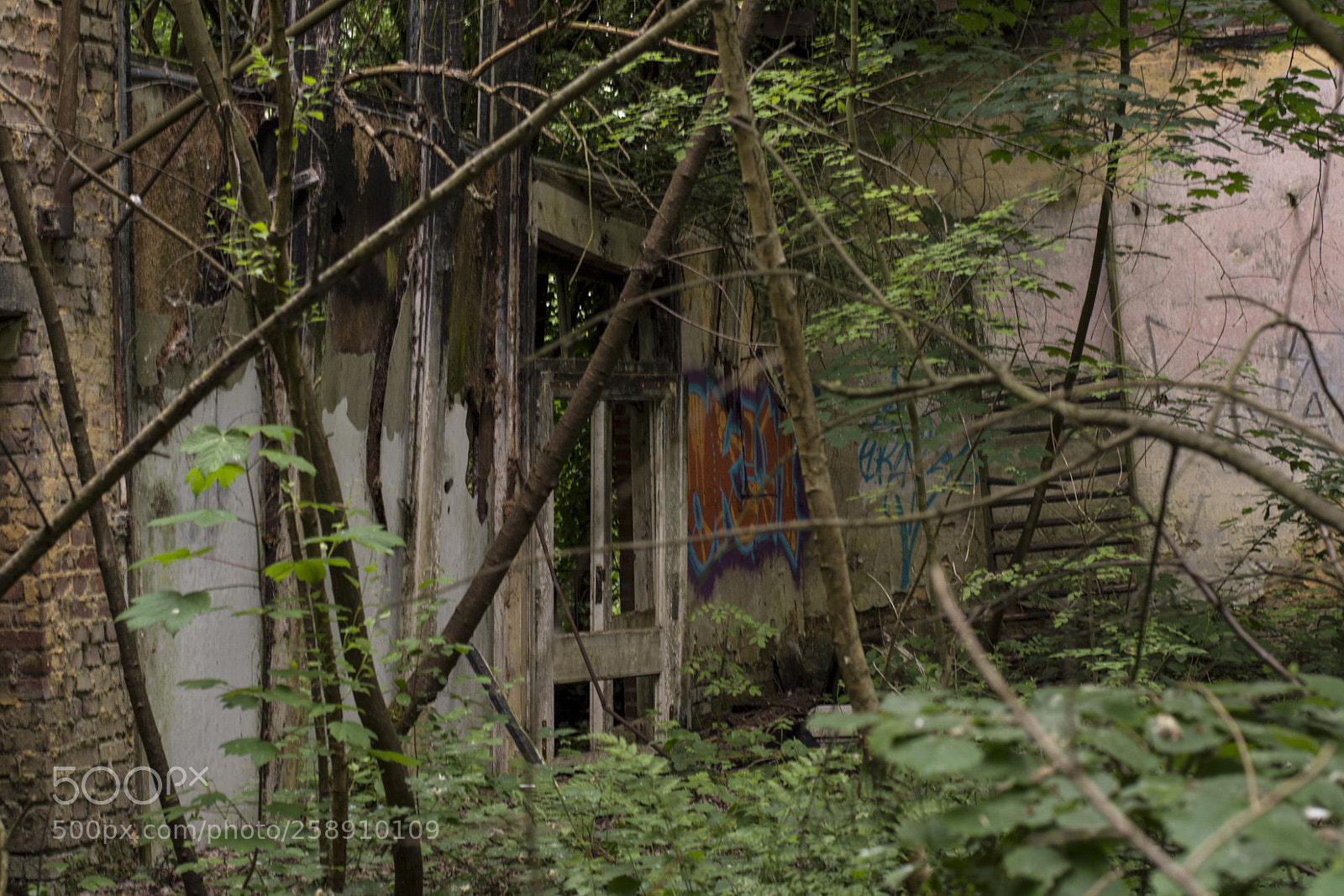 Nikon D5200 sample photo. Dans la villespringnivelles photography