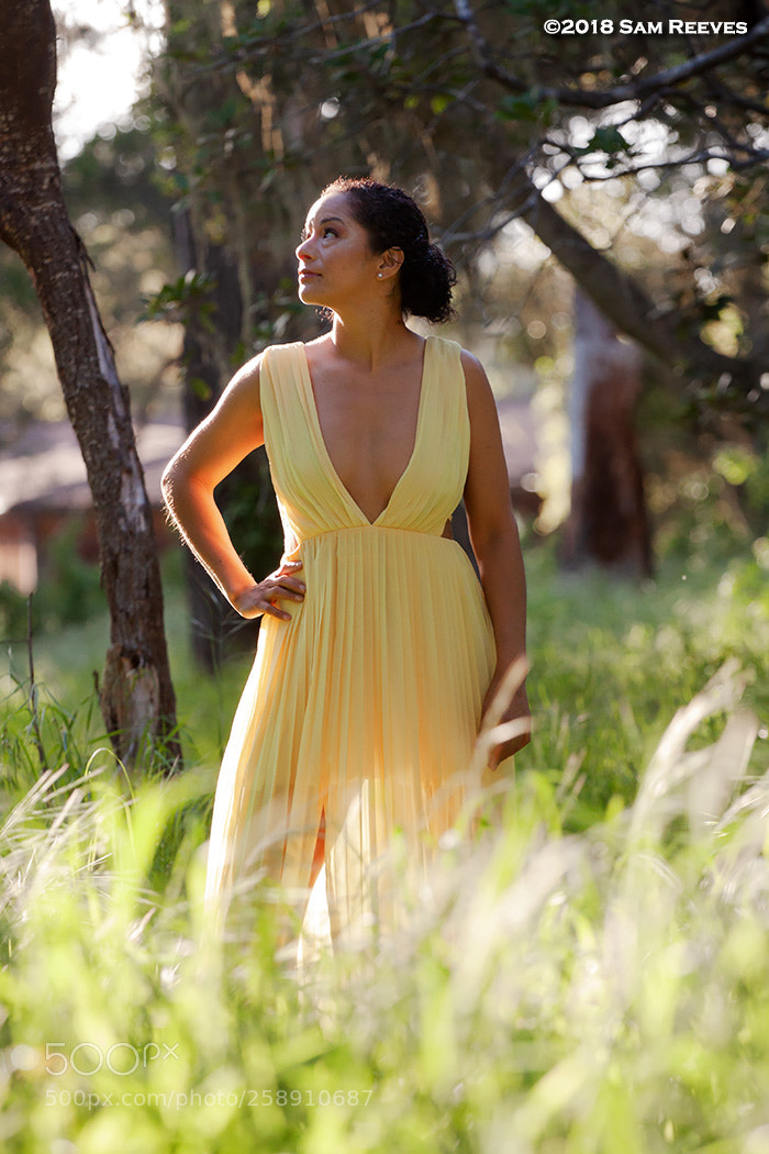 Canon EOS 50D sample photo. Gown photography