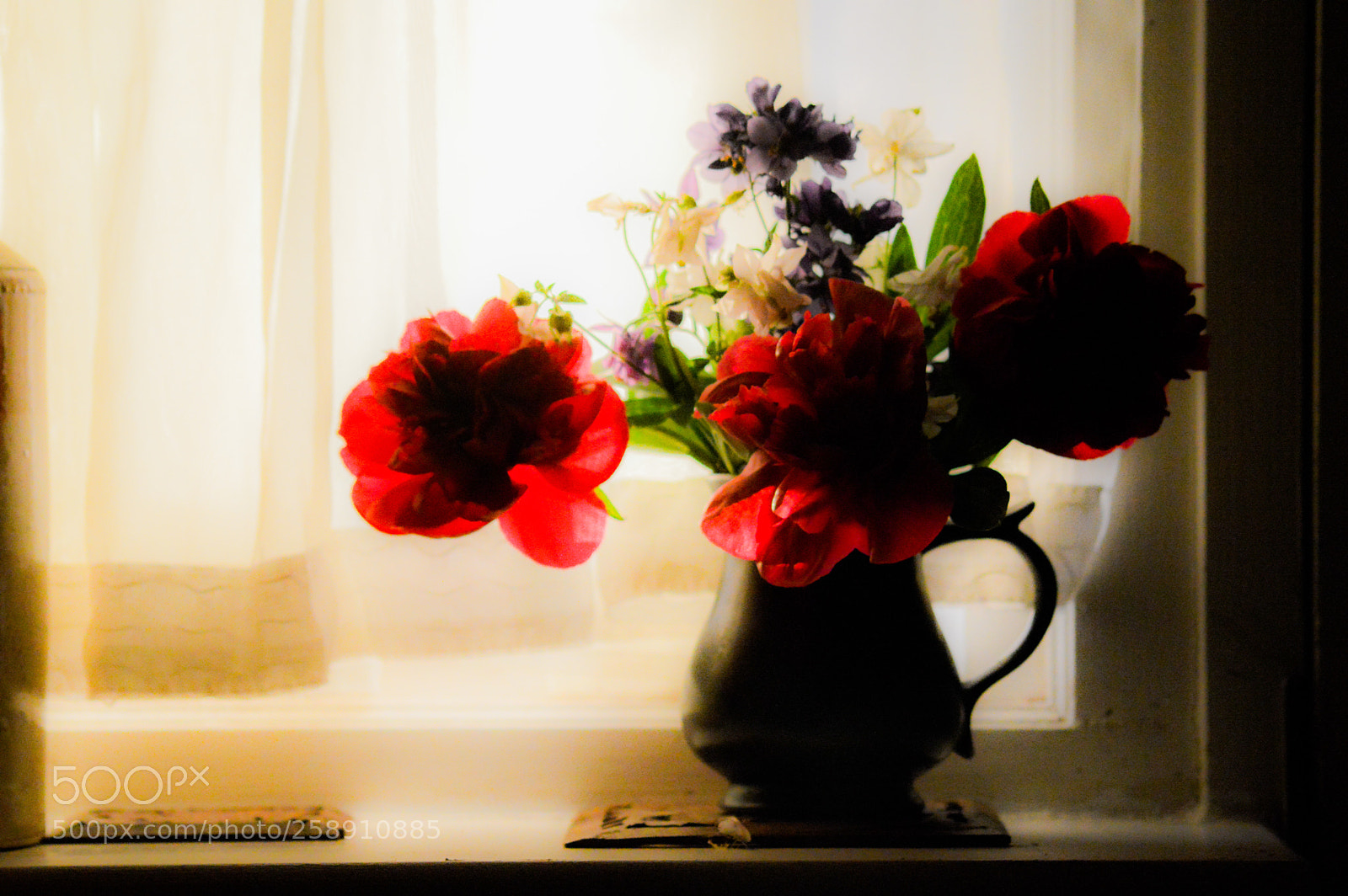 Nikon D3200 sample photo. Peony jacob's ladder white photography