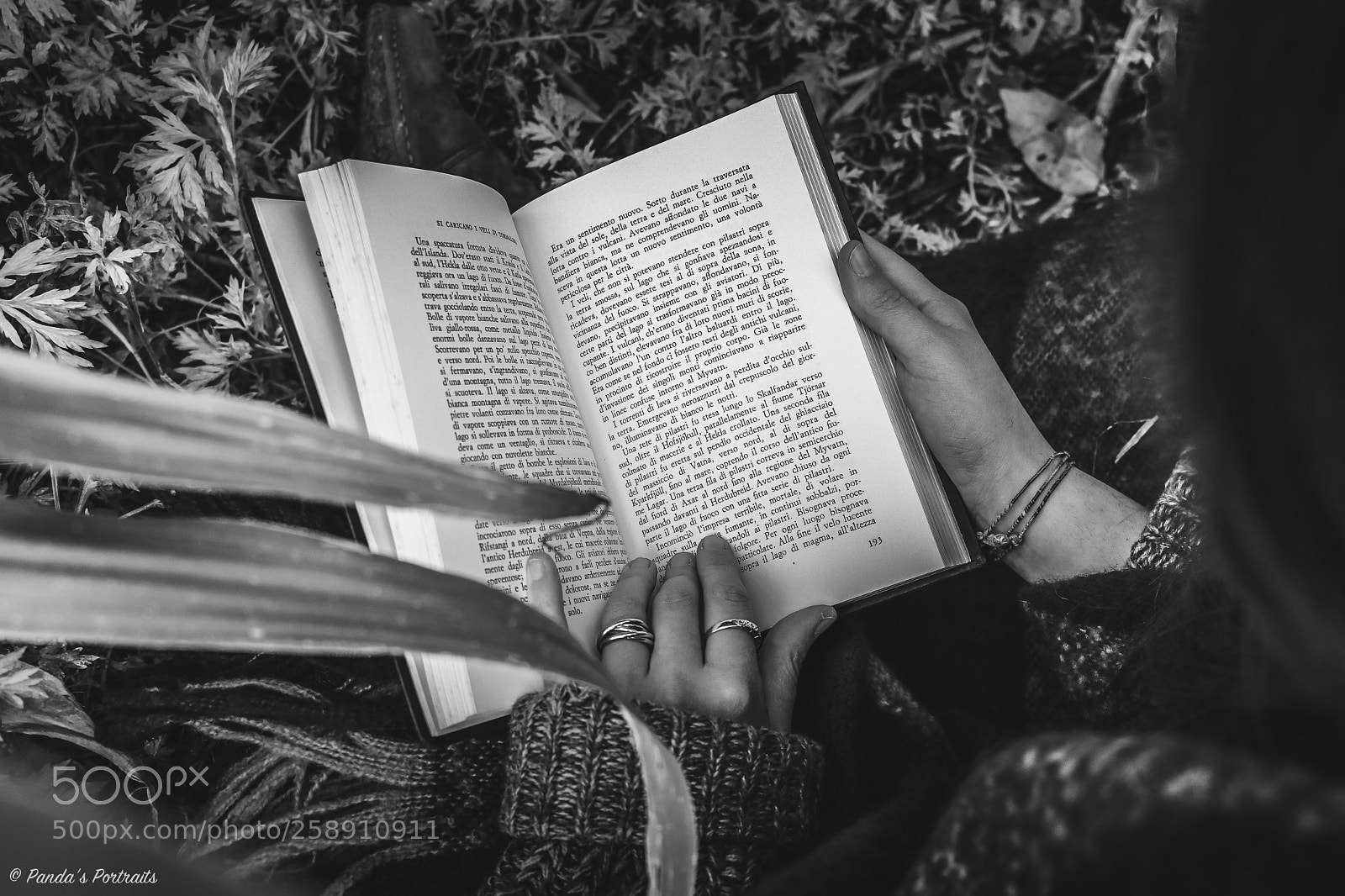 Canon EOS 80D sample photo. Book photography