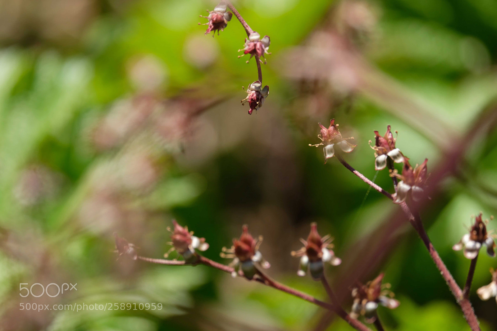Fujifilm X-T2 sample photo. Untitled photography