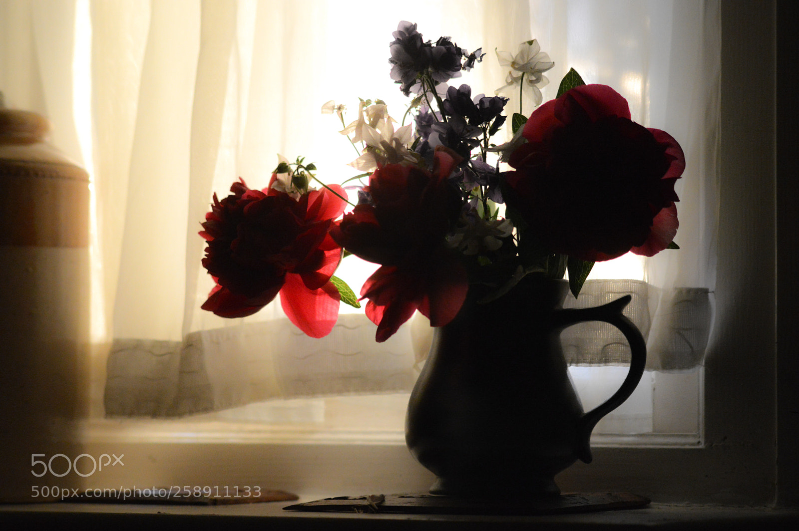 Nikon D3200 sample photo. Peony jacob's ladder white photography