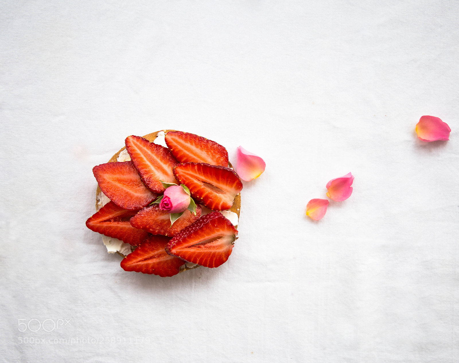 Canon EOS 6D sample photo. Sandwich with strawberries and photography
