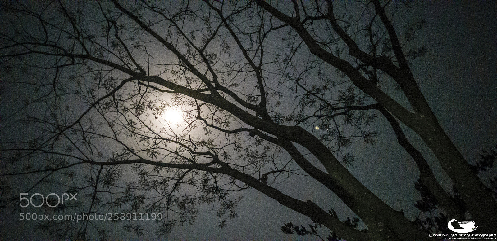 Samsung Galaxy S8+ sample photo. 20180428_214946.jpg photography