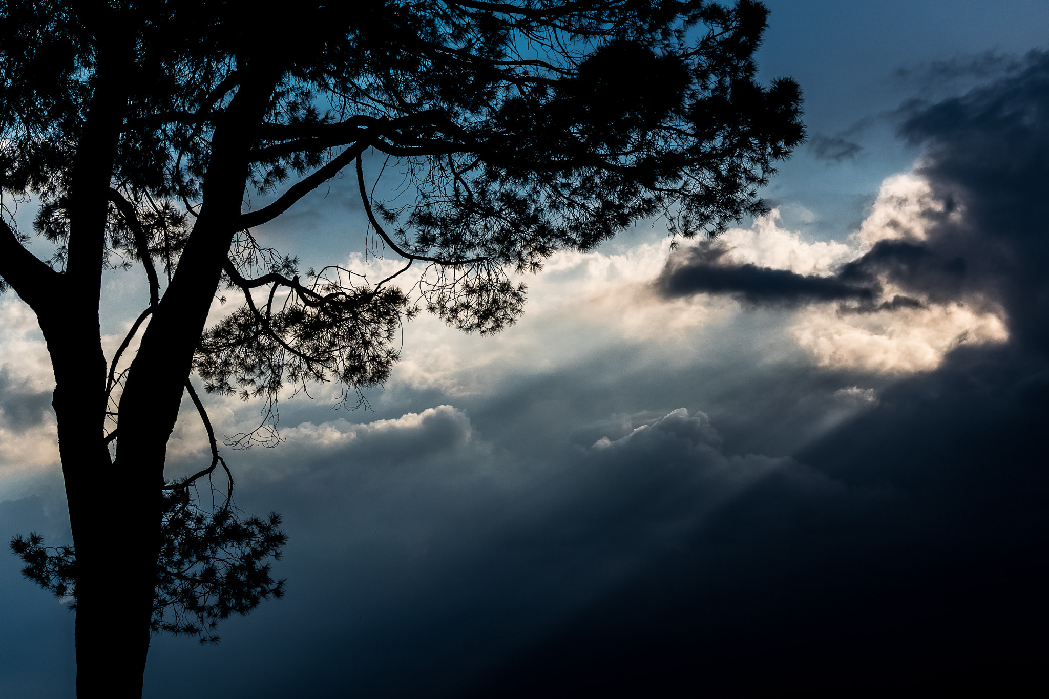 Nikon 1 J5 sample photo. ***** photography