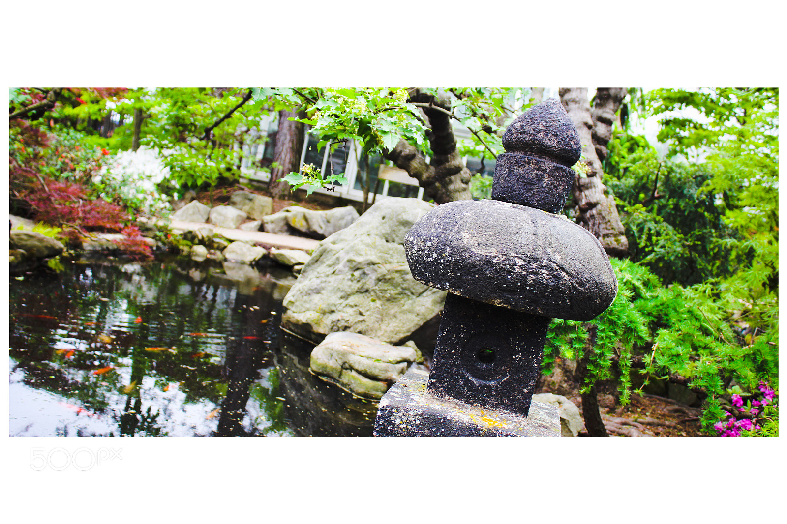Canon EOS 1300D (EOS Rebel T6 / EOS Kiss X80) sample photo. Koi pond photography