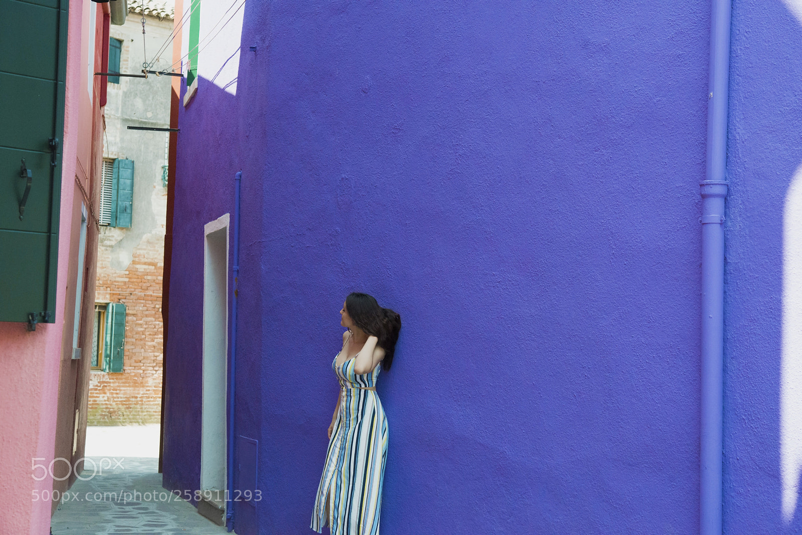 Nikon D800 sample photo. Pink-purple photography