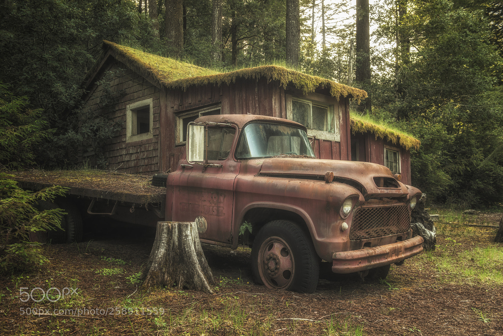 Nikon D800 sample photo. Somewhere in oregon photography