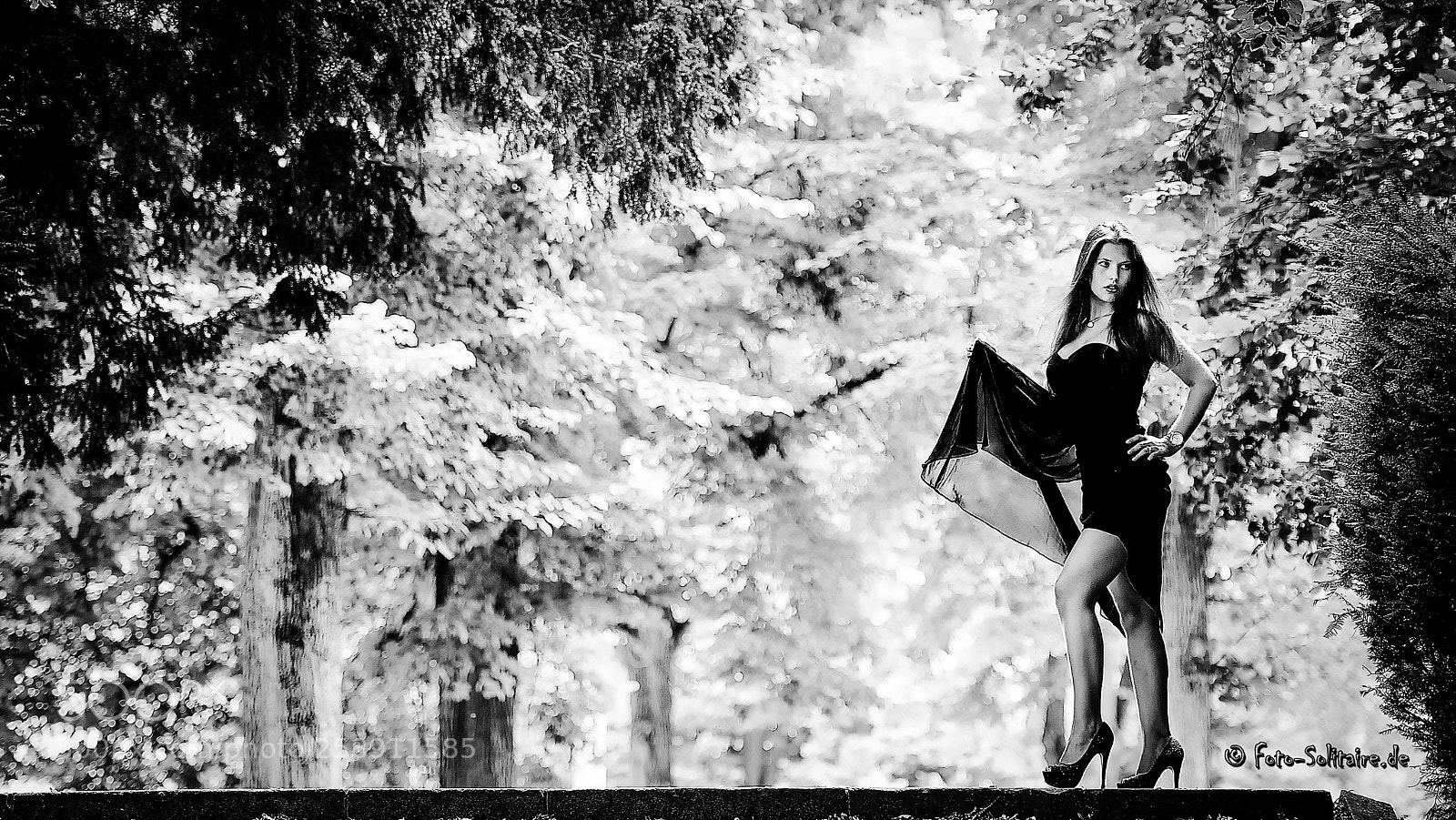 Nikon D700 sample photo. Vanessa photography