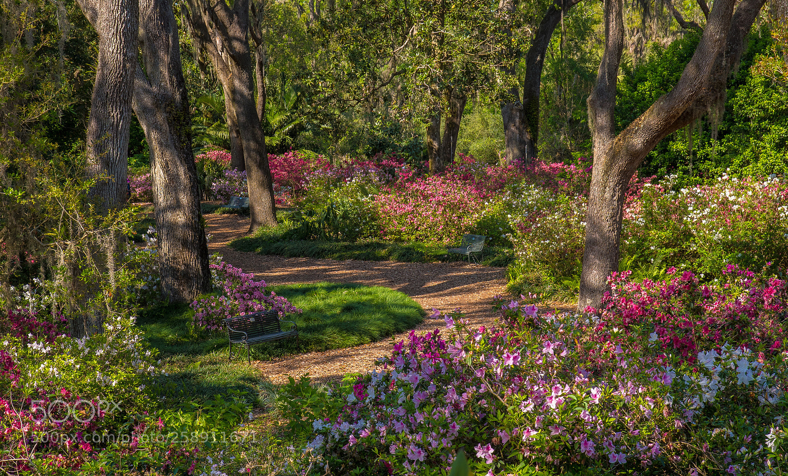 Nikon D810 sample photo. Untitled photography