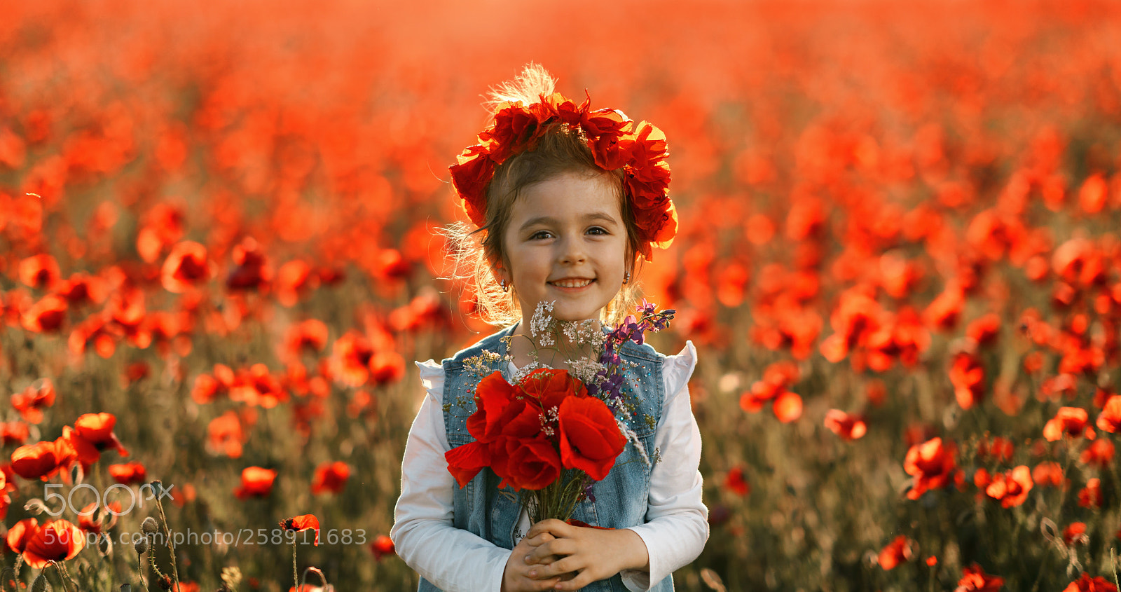 Sony a7R II sample photo. Untitled photography