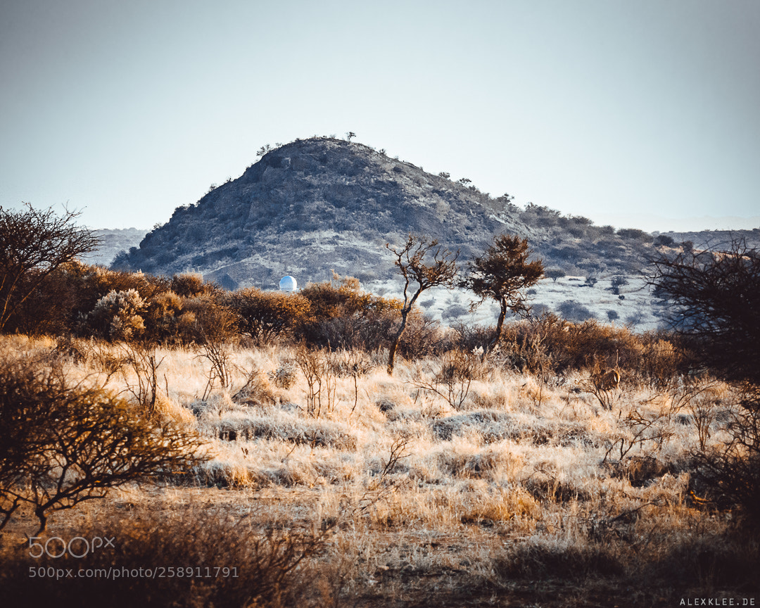 Canon EOS 7D Mark II sample photo. One of the darkest photography