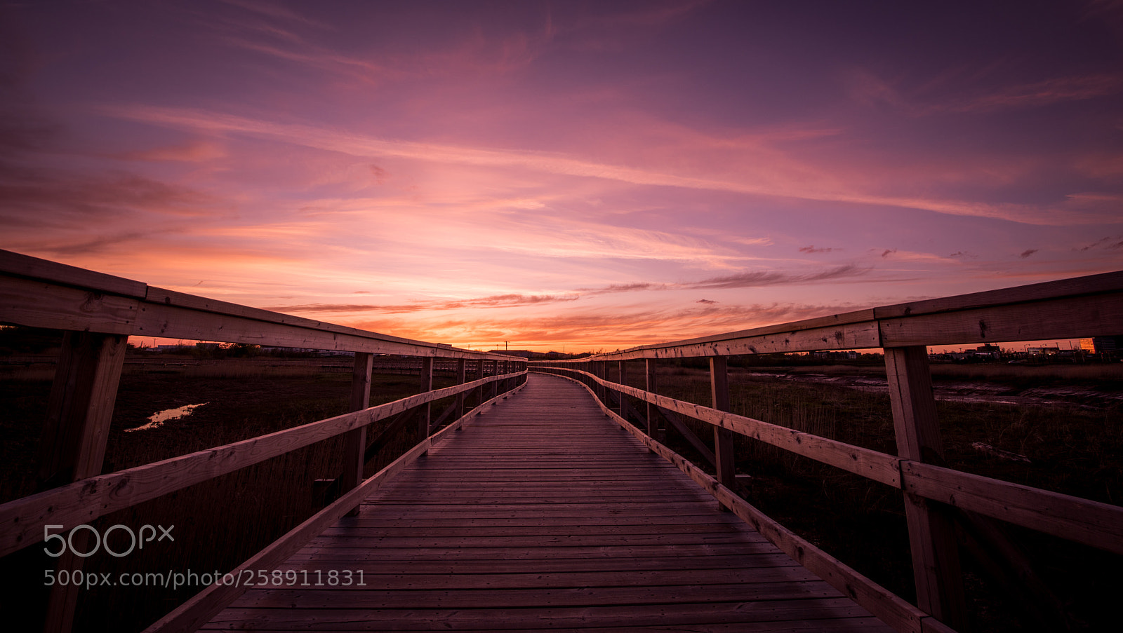 Nikon D810 sample photo. Shades of twilight photography