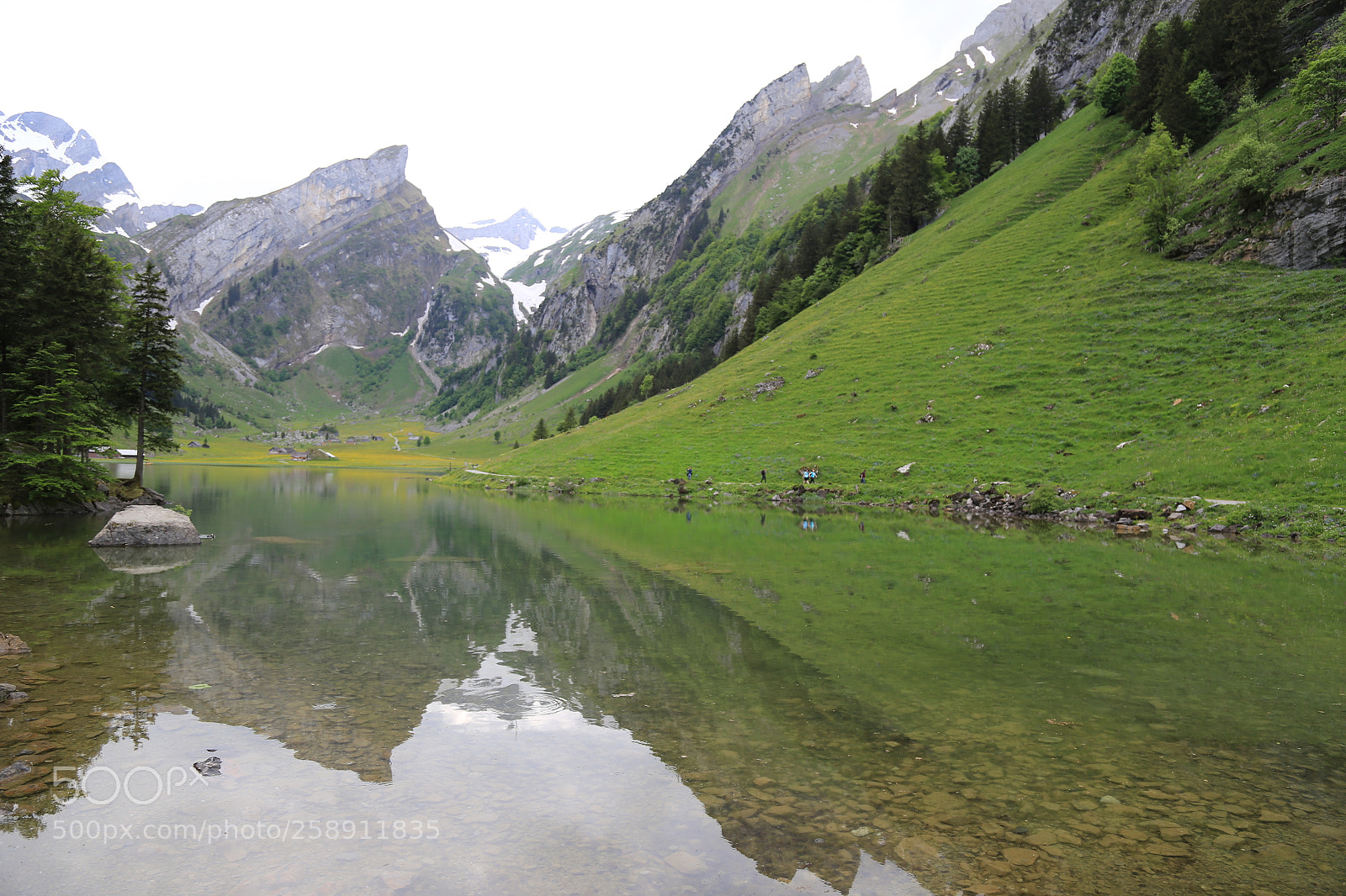 Canon EOS 6D + Canon EF 24-105mm F4L IS USM sample photo. Untitled photography
