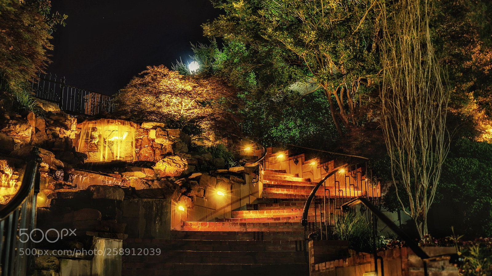 Sony a7R II sample photo. Beau jardin photography