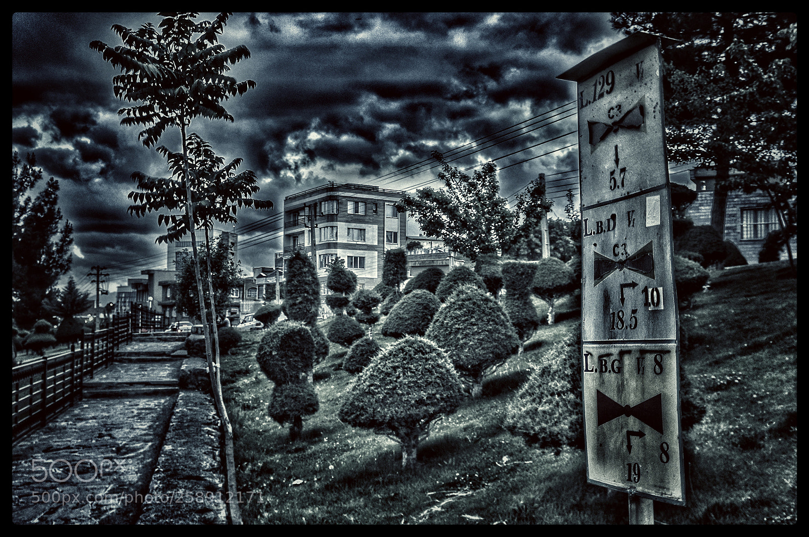 Nikon D90 sample photo. Untitled photography