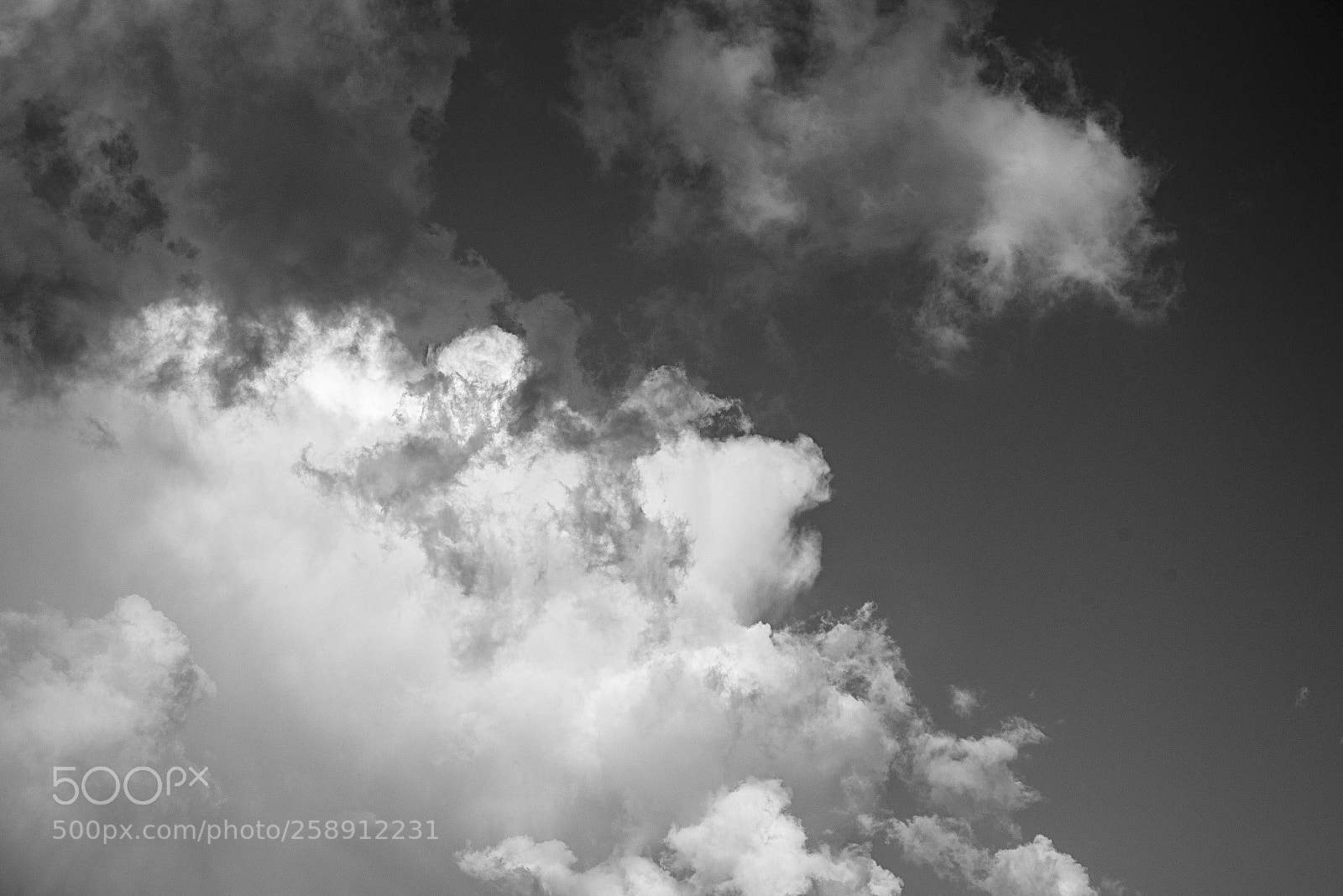 Nikon D750 sample photo. Cloud  b&w photography