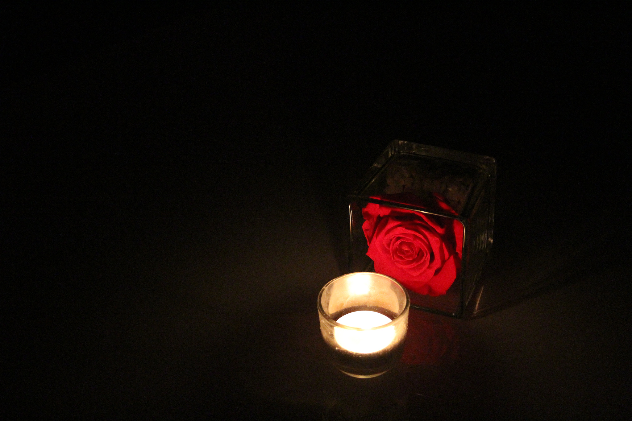 Canon EF-S 18-55mm F3.5-5.6 II sample photo. Rosa al lume di candela photography