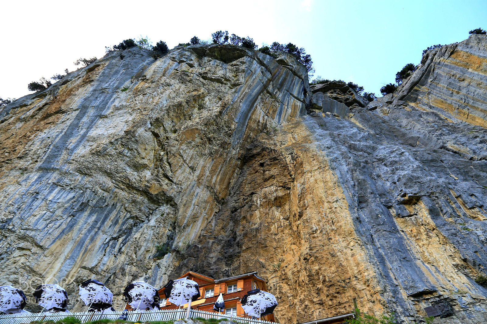 Canon EOS 6D sample photo. Untitled photography