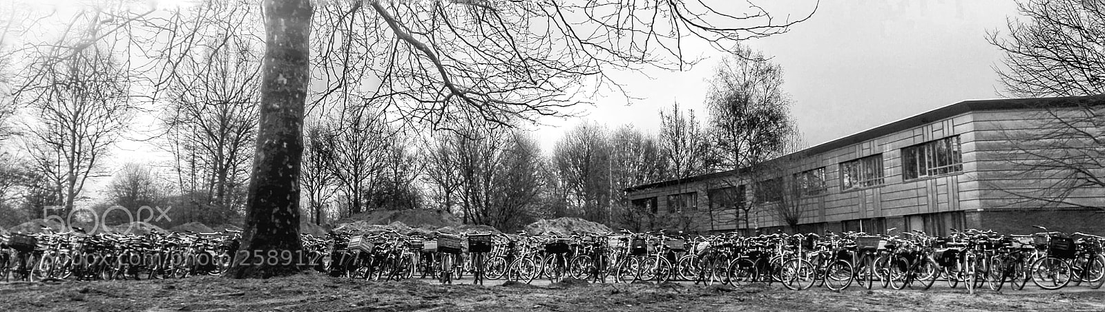 HUAWEI P8 Lite sample photo. Waldorfschool zutphen photography