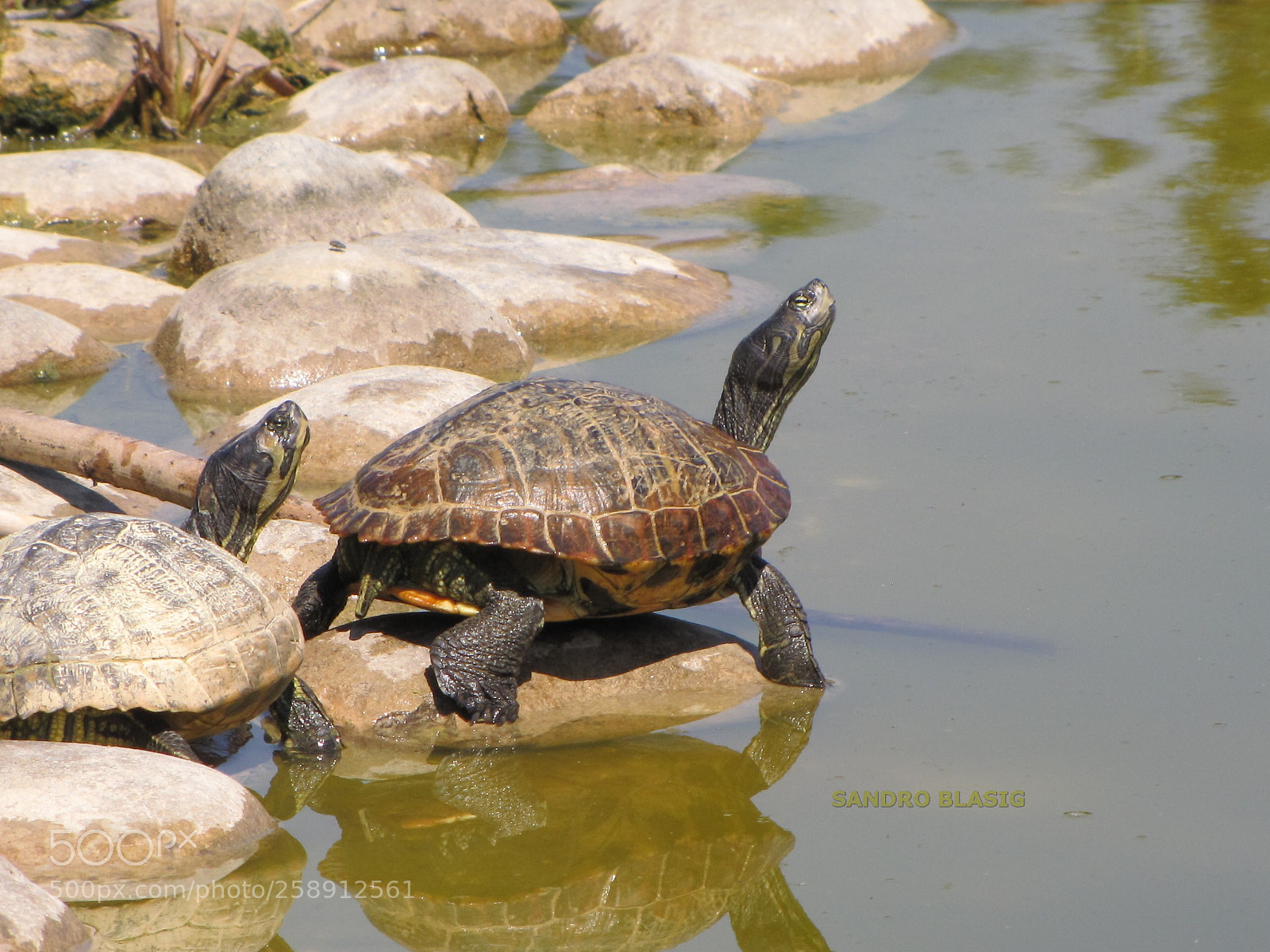 Canon PowerShot SX10 IS sample photo. () photography