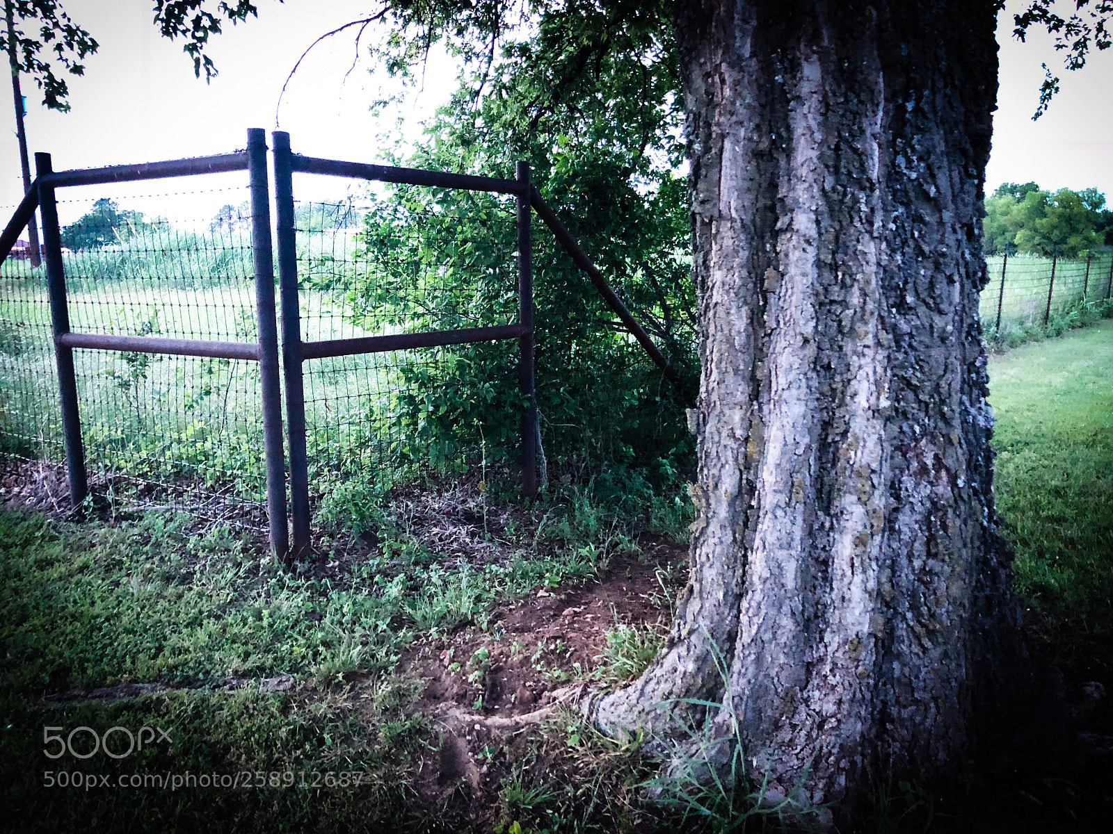 Apple iPhone X sample photo. Cornered photography