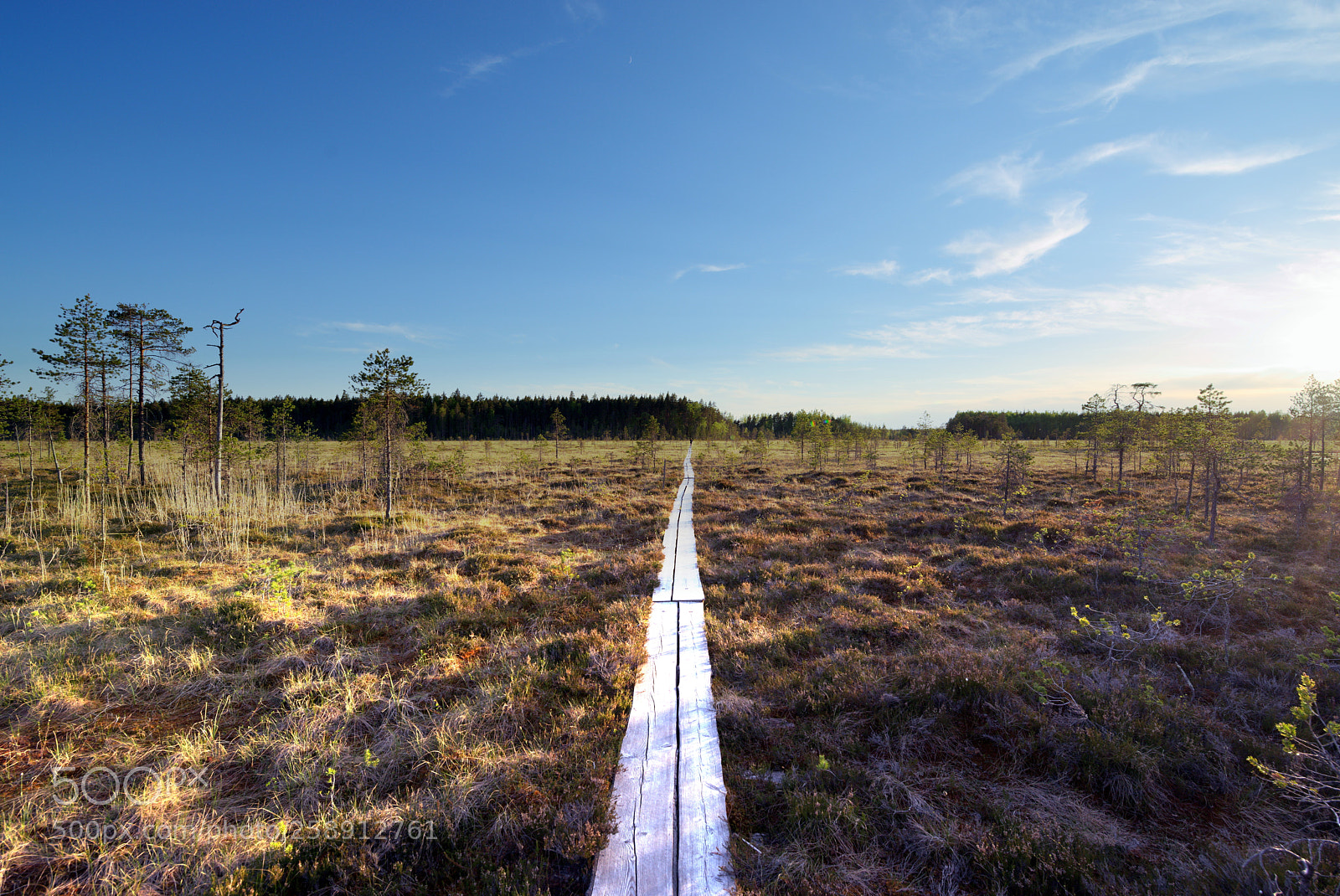 Pentax K-1 sample photo. Hiking trail in salamaj photography