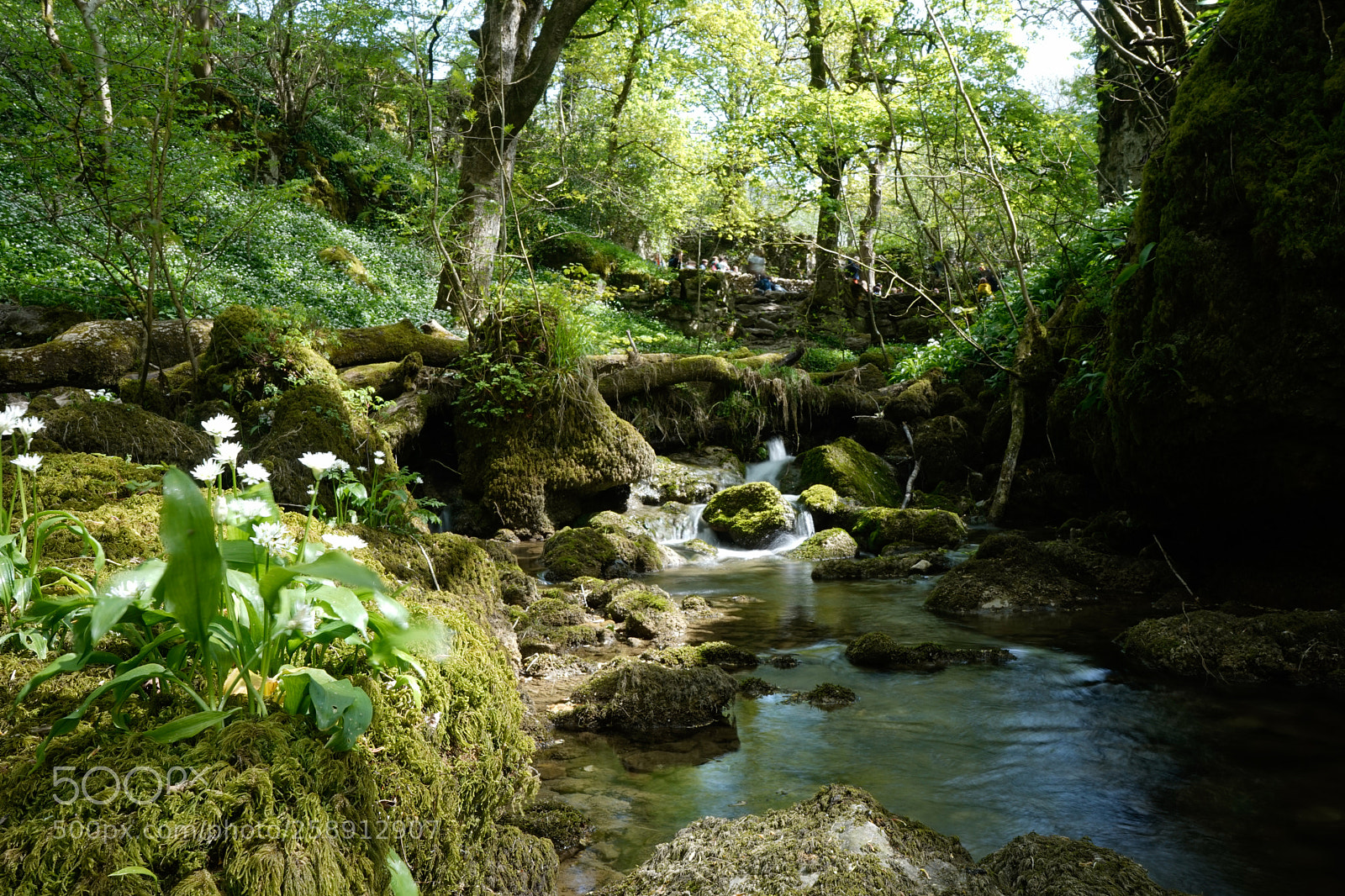 Sony a7 sample photo. Janets foss view 2 photography