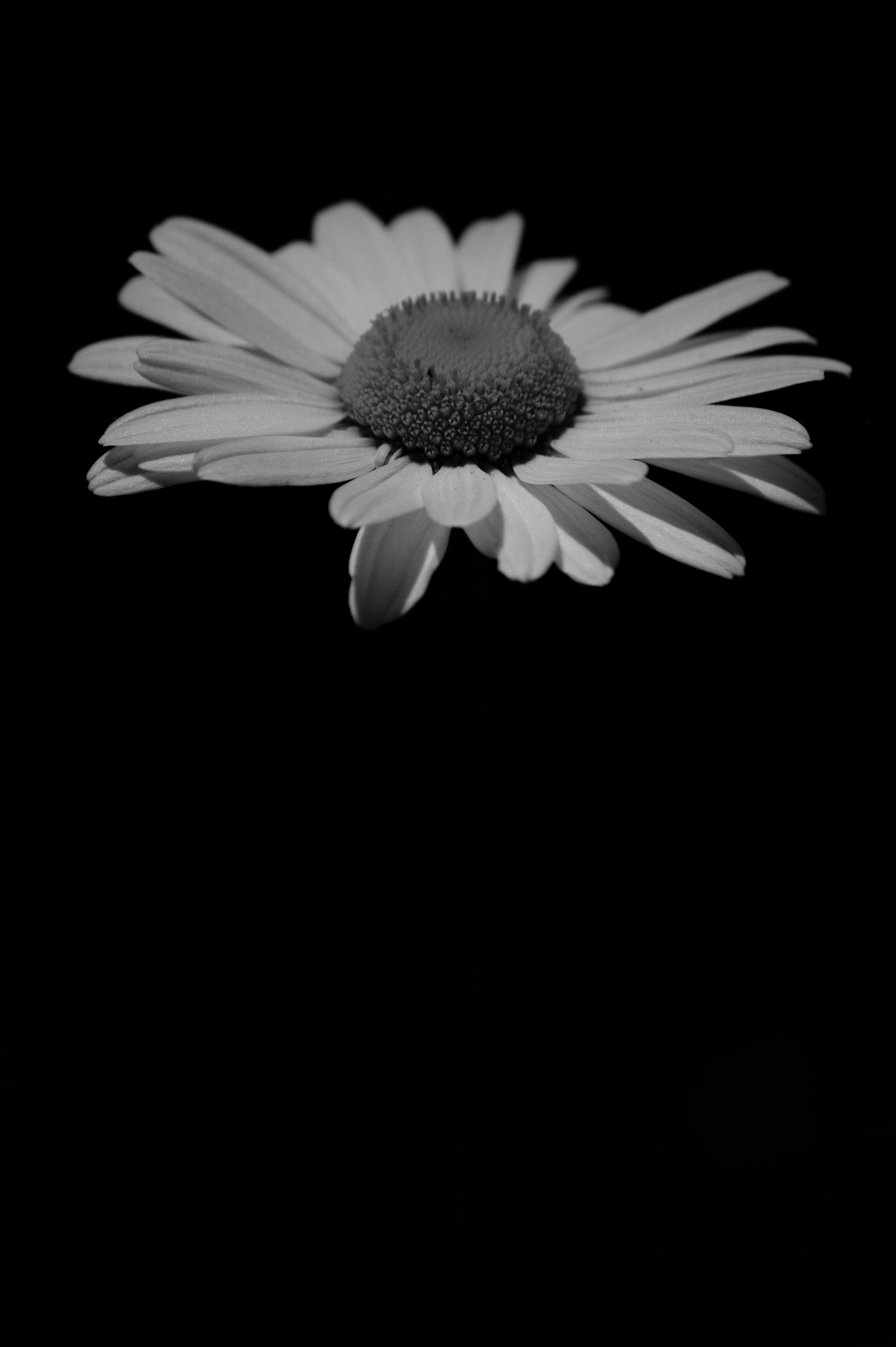 Canon EF-S 55-250mm F4-5.6 IS II sample photo. ... photography