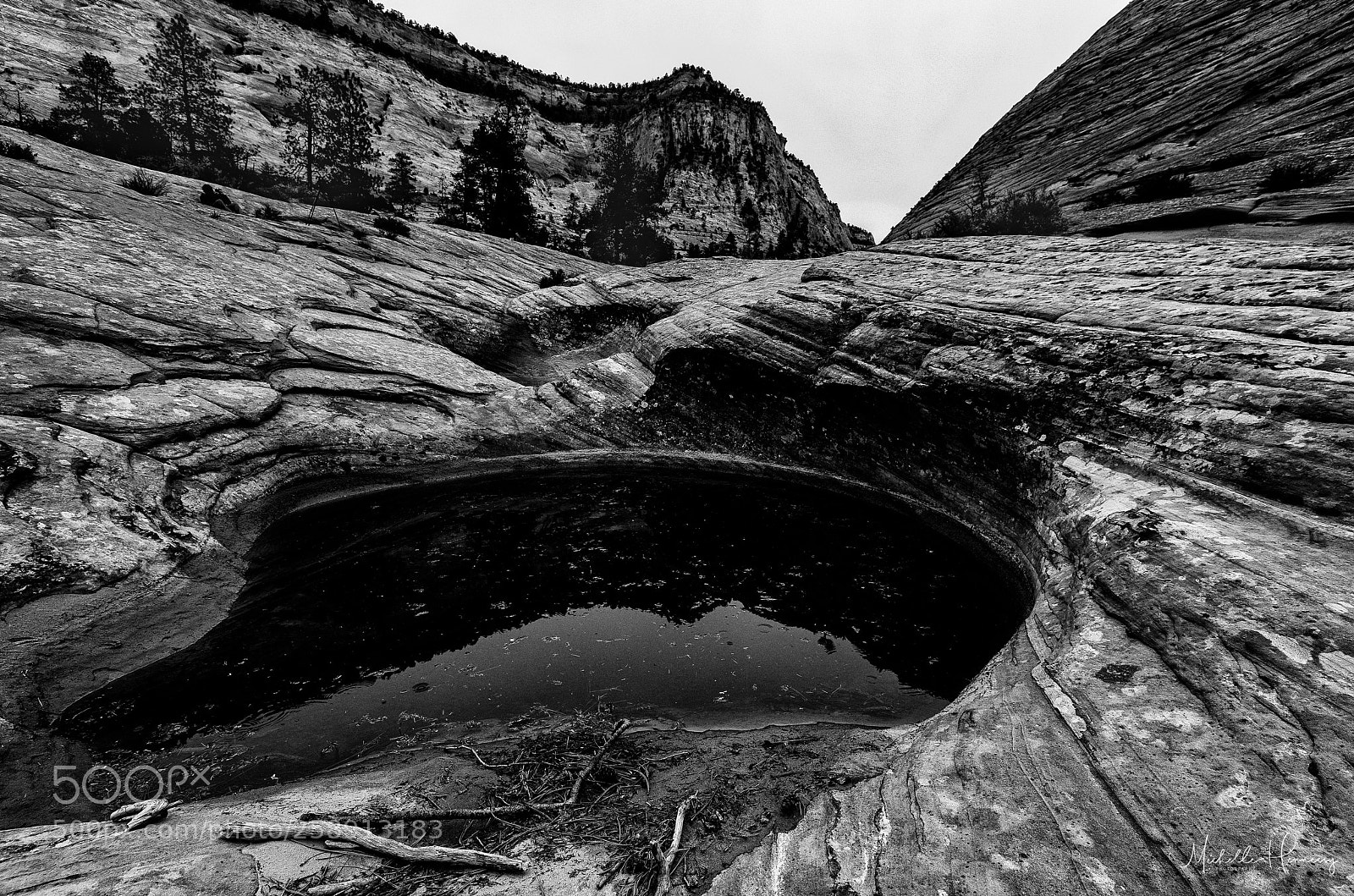 Nikon D850 sample photo. Reflecting pool photography