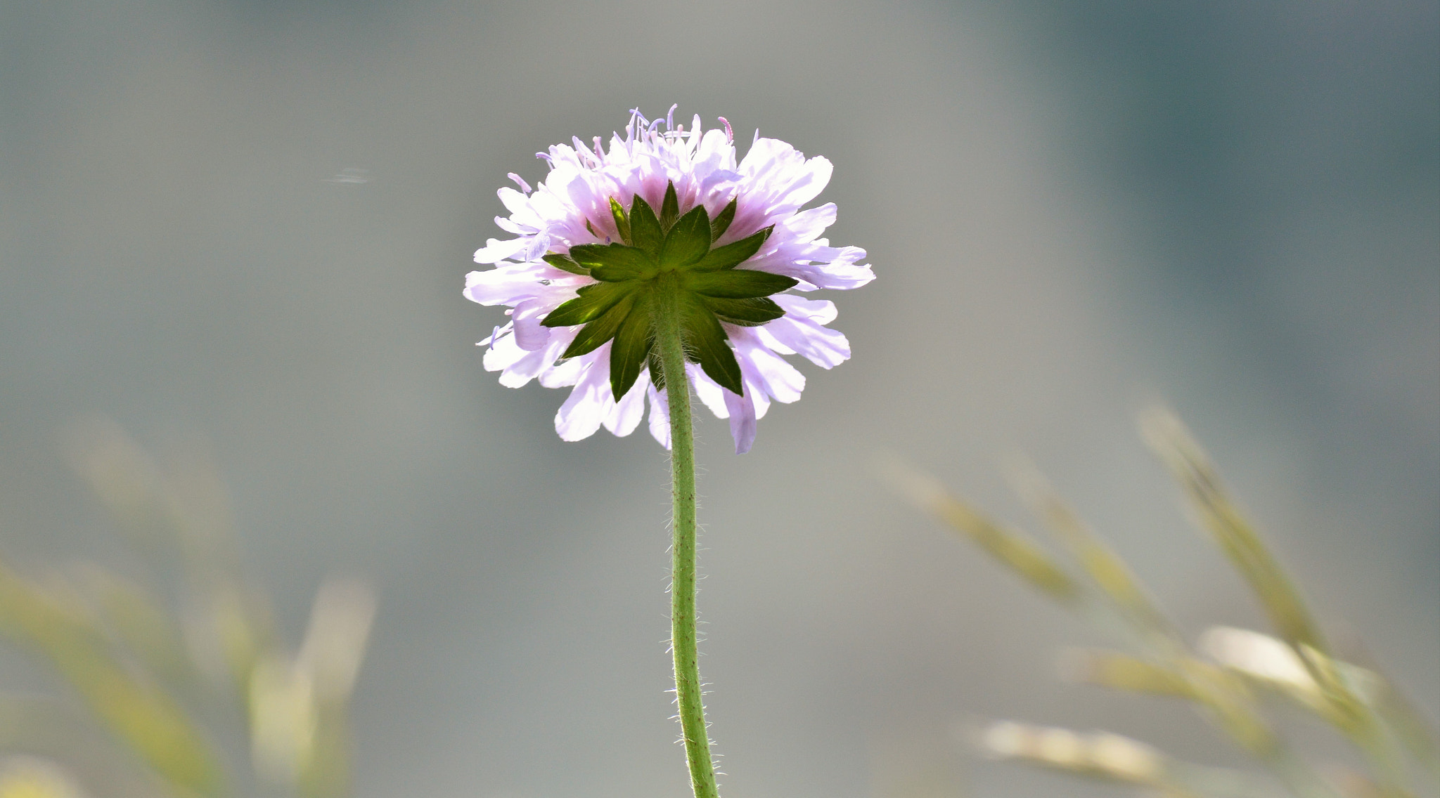 Nikon D3200 sample photo