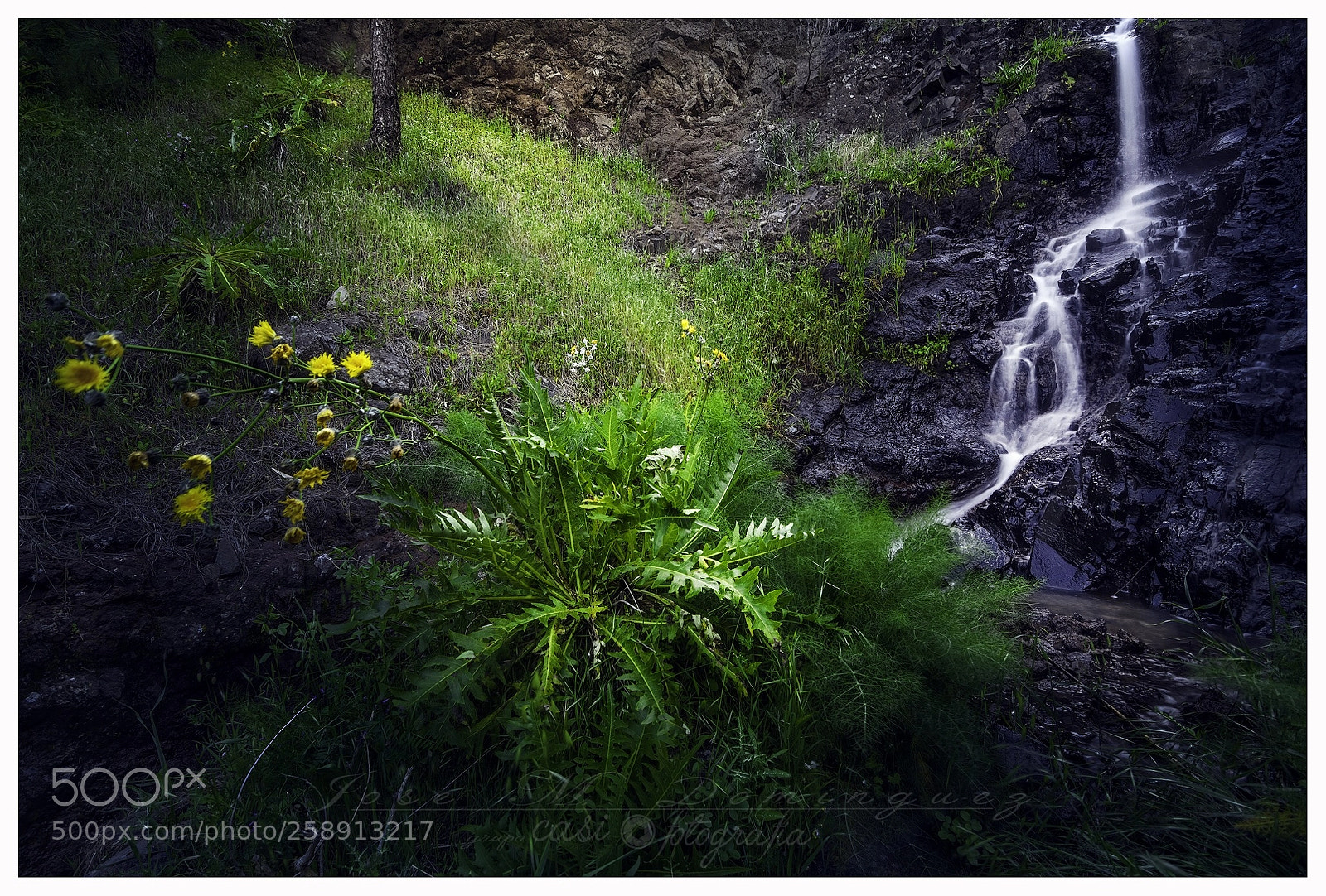Nikon D7100 sample photo. Los silos (tenerife) photography