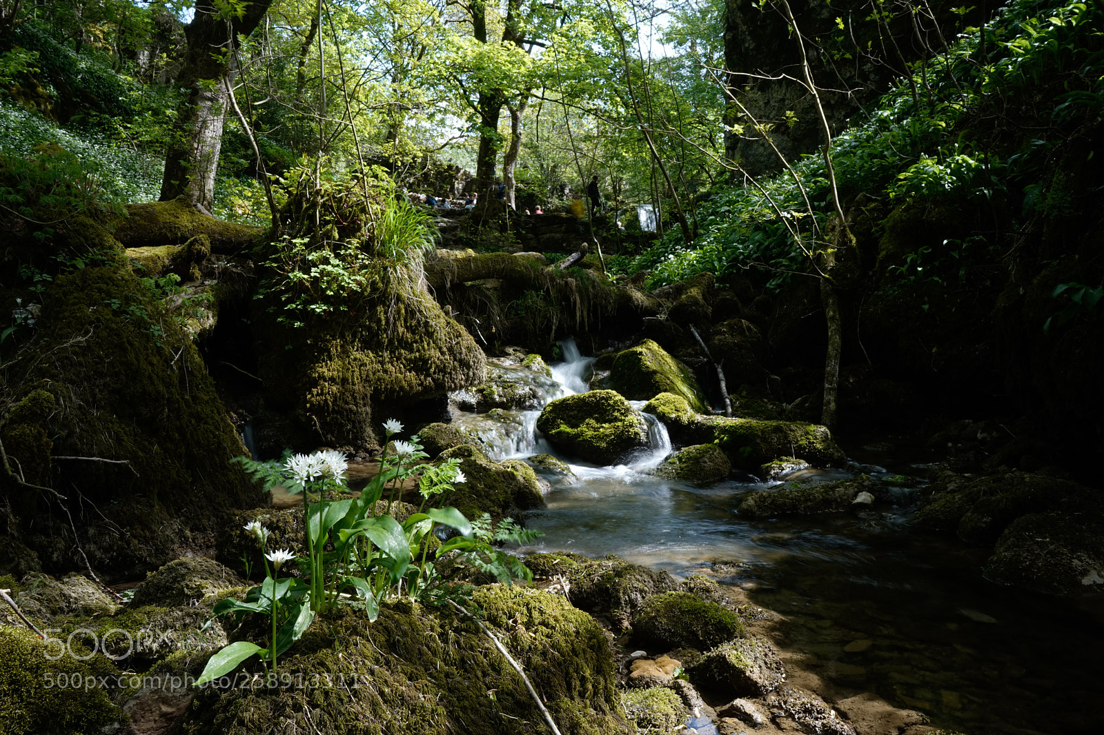 Sony a7 sample photo. Janets foss 3 photography