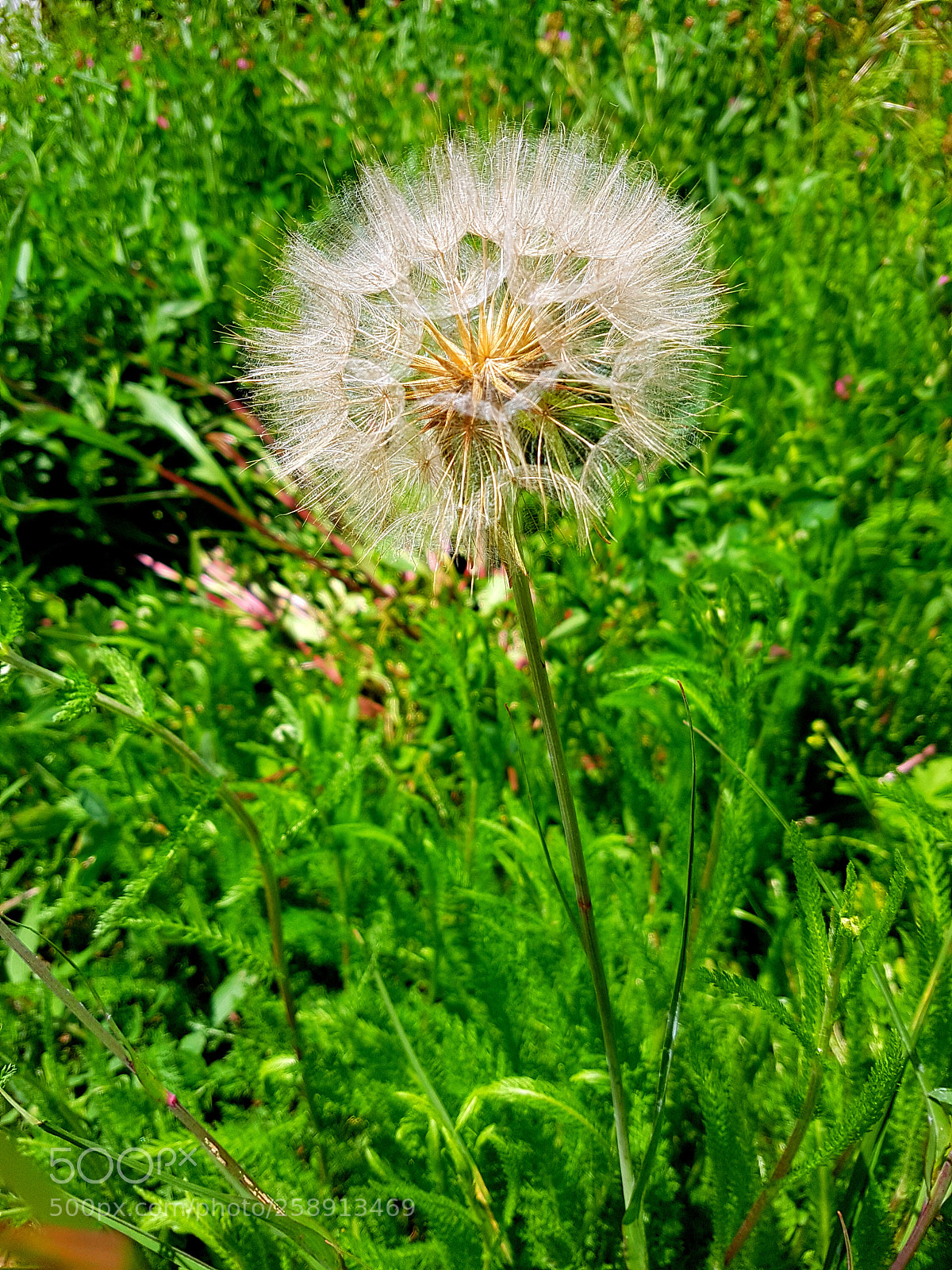 Samsung Galaxy S7 Edge sample photo. Untitled photography